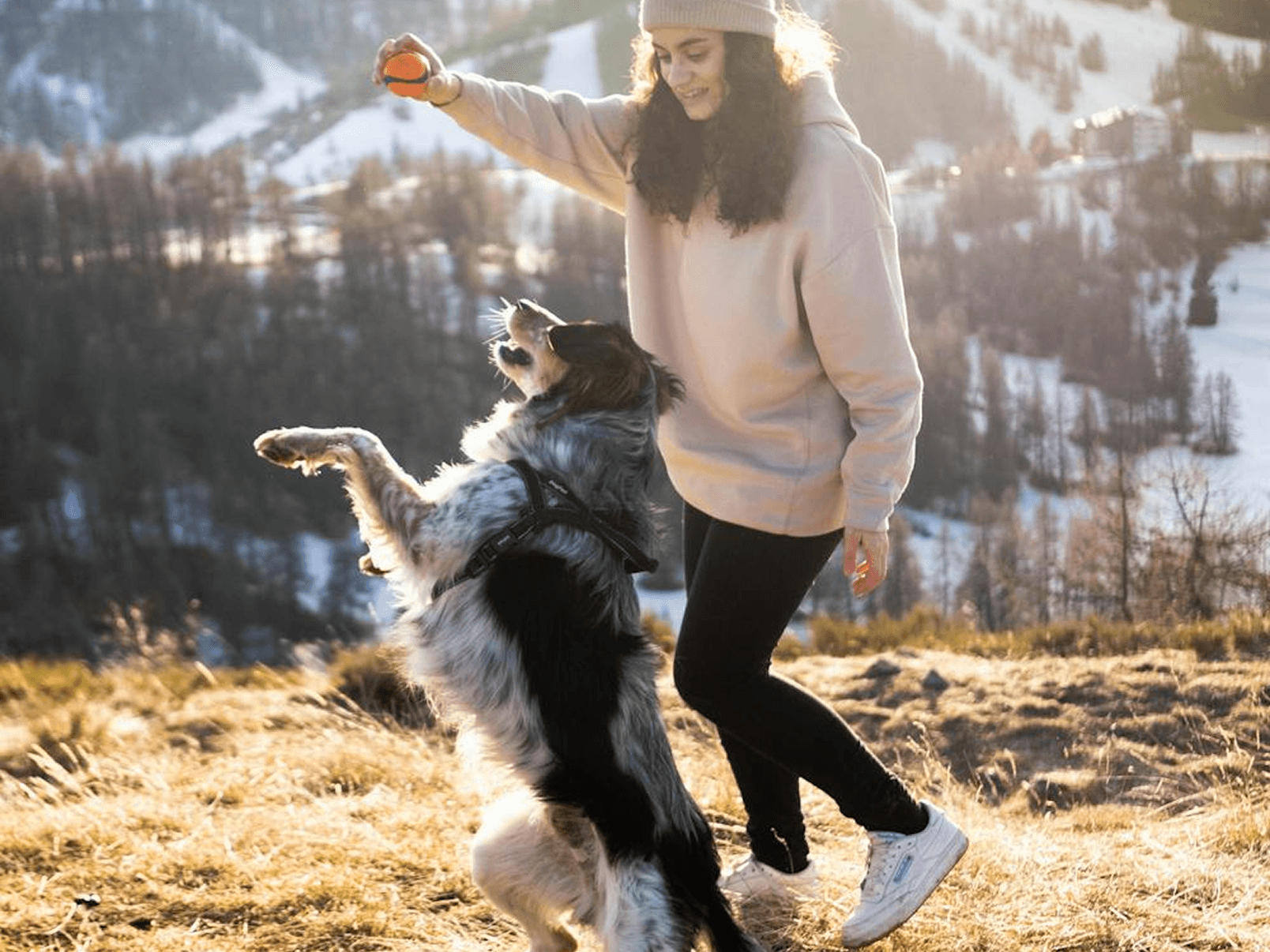 Amigable Mascota - Rutas para pasear con mascotas