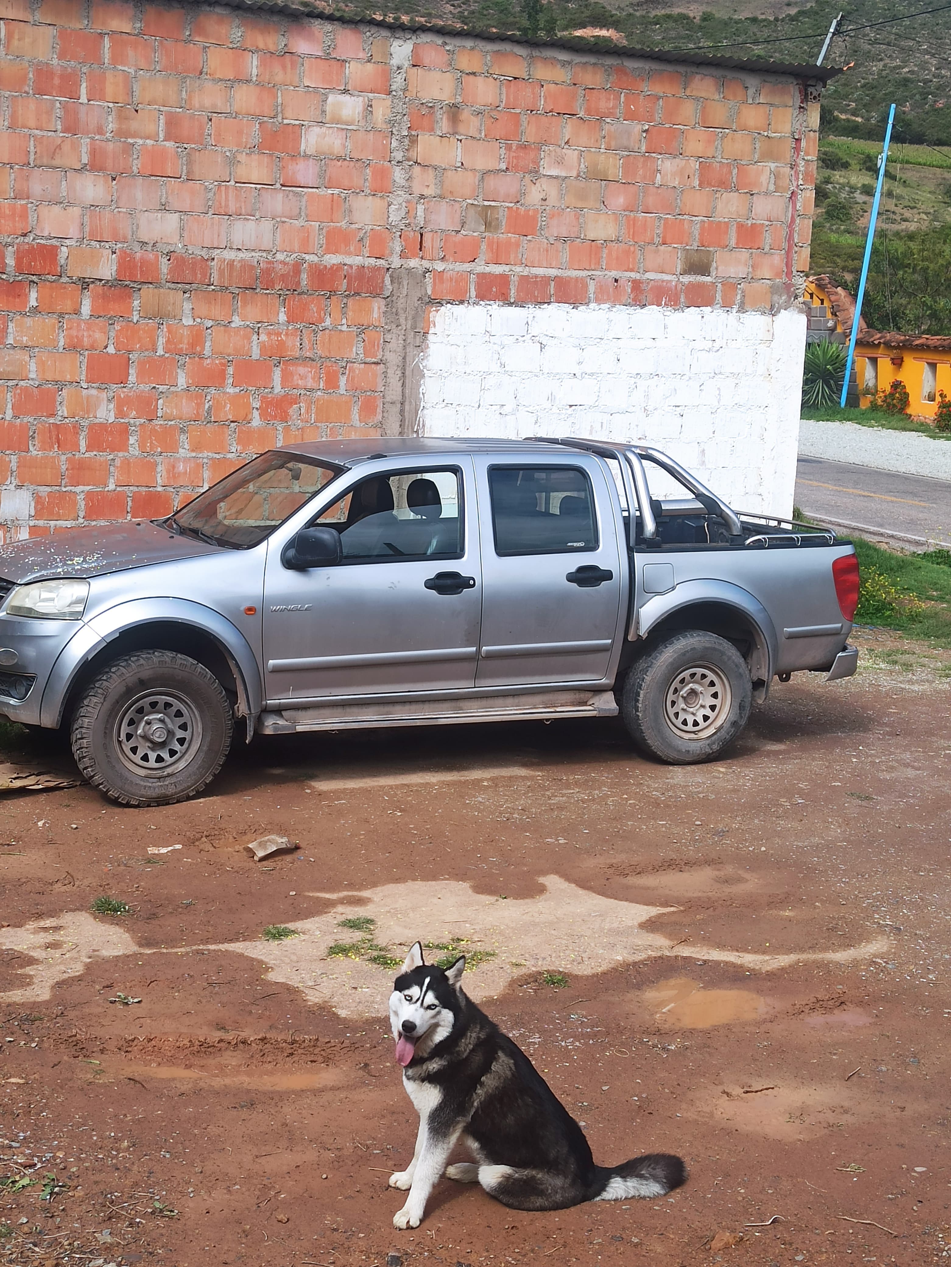 Perro en adopción en Urubamba, Cusco, Perú - Perros en adopción