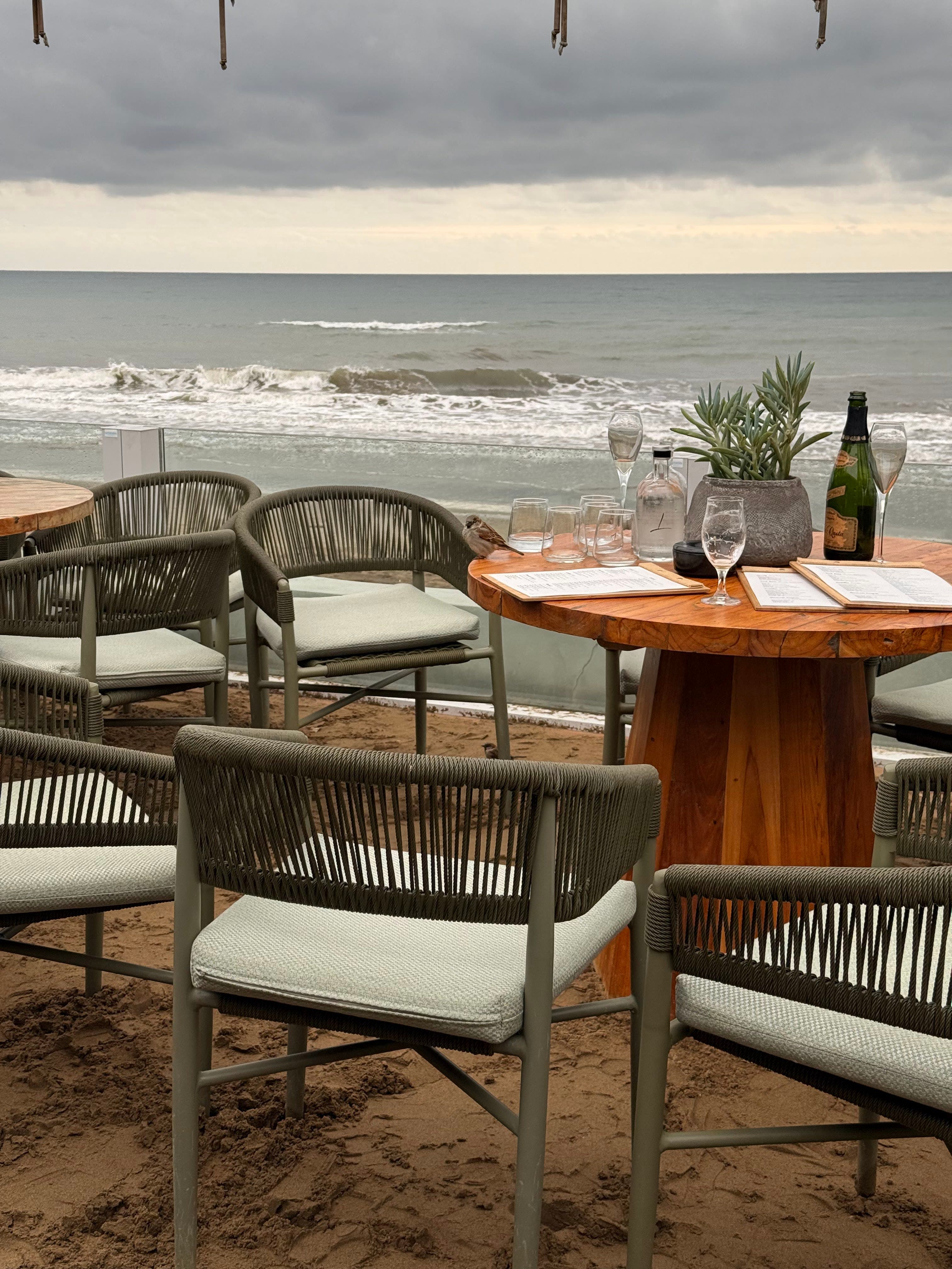 LUUMA Beach Marbella 2 en Marbella, Andalucía, España - Restaurantes pet friendly