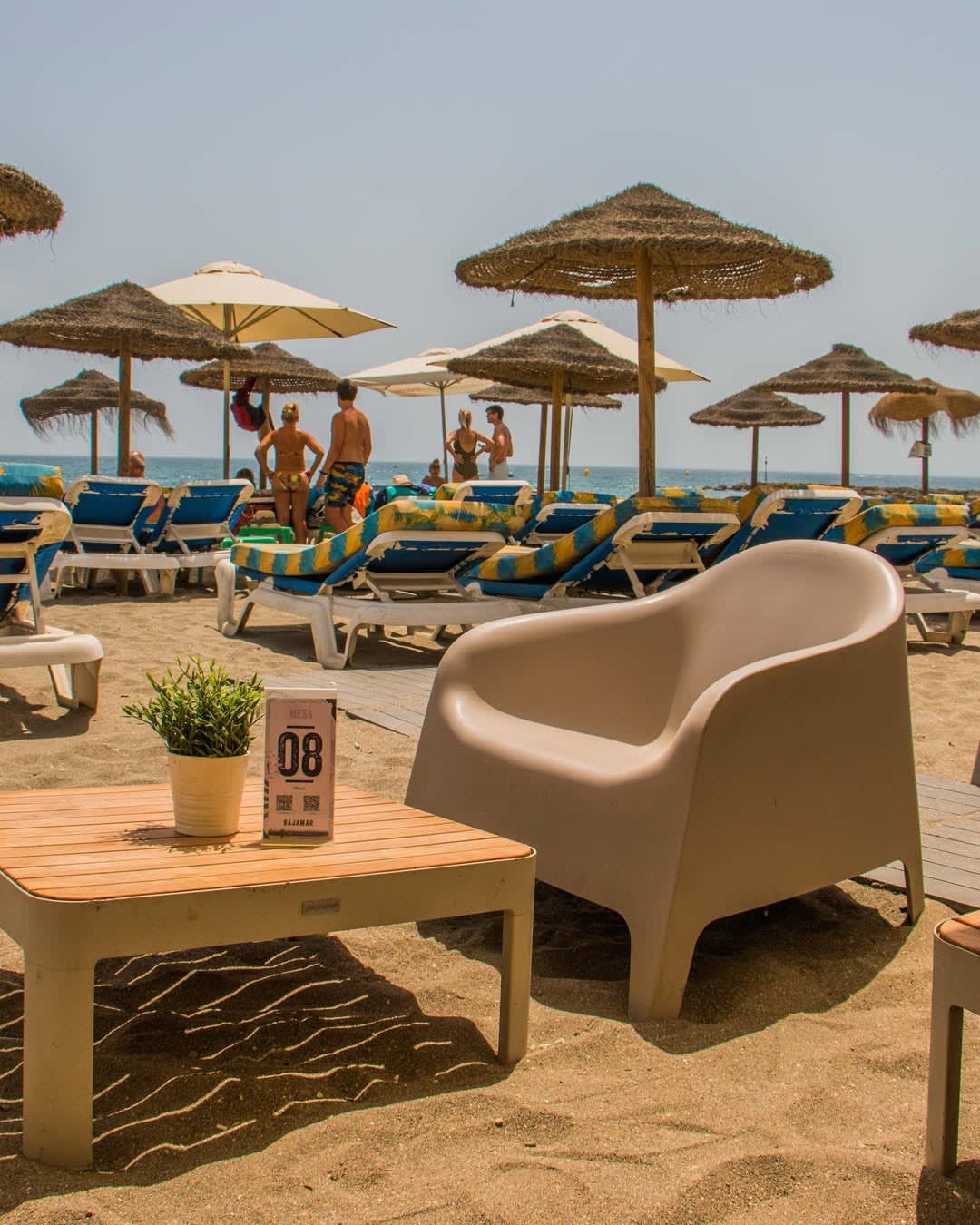 Bajamar 2 en Marbella, Andalucía, España - Restaurantes pet friendly