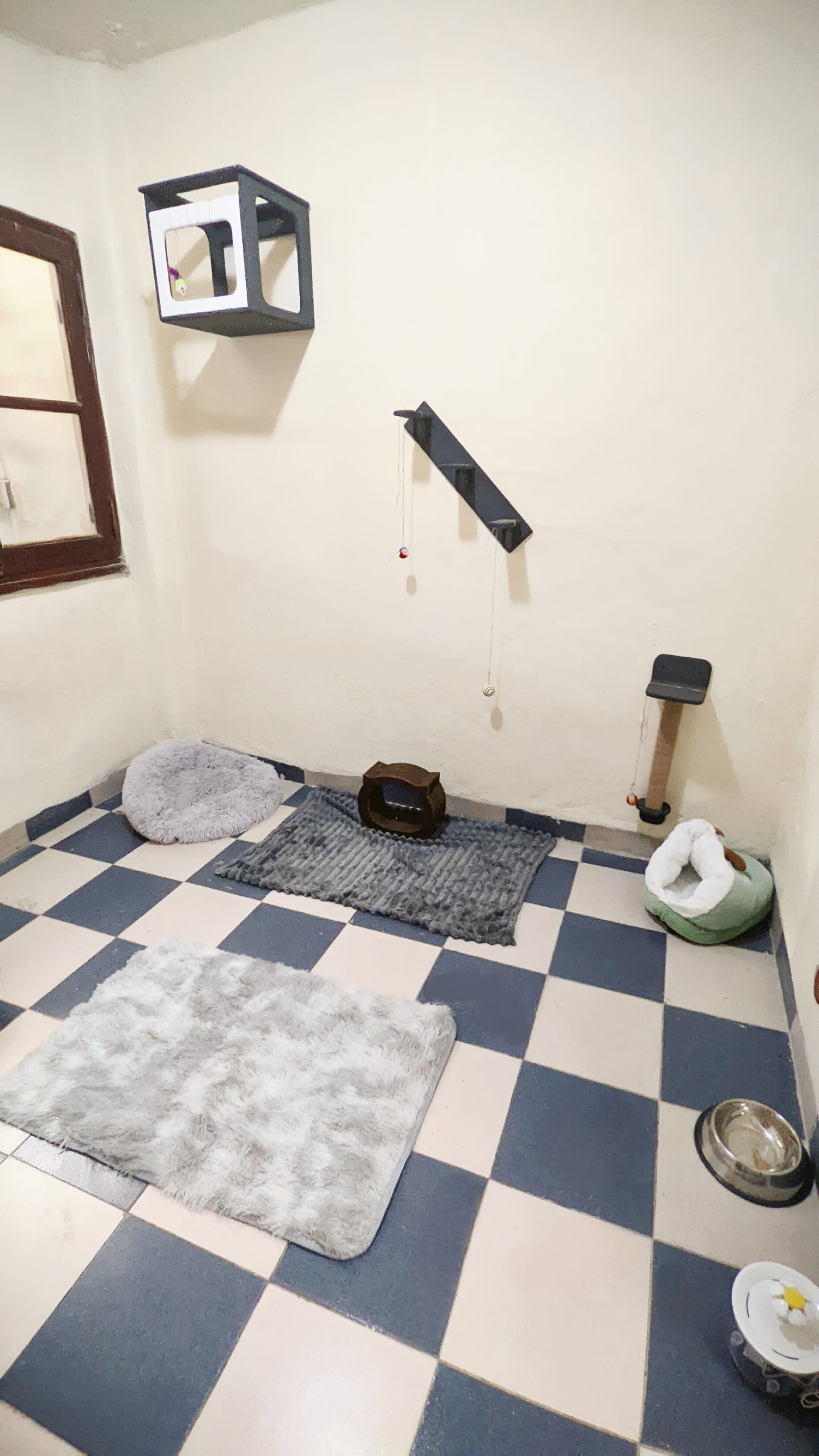 Michihouse - Hotel felino. en Santa Fe, Santa Fe, Argentina - Guardería para gatos