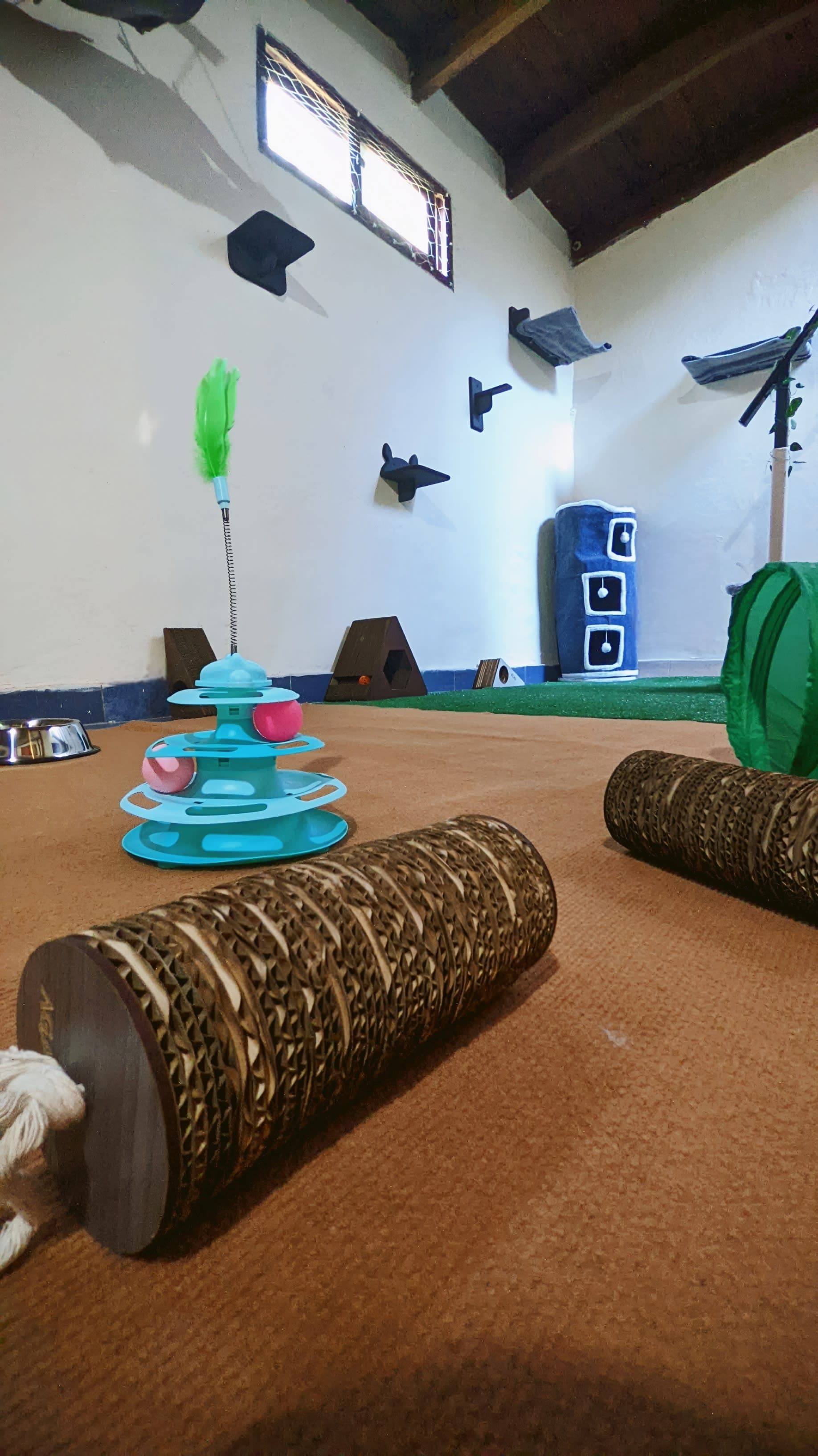 Michihouse - Hotel felino. 2 en Santa Fe, Santa Fe, Argentina - Guardería para gatos