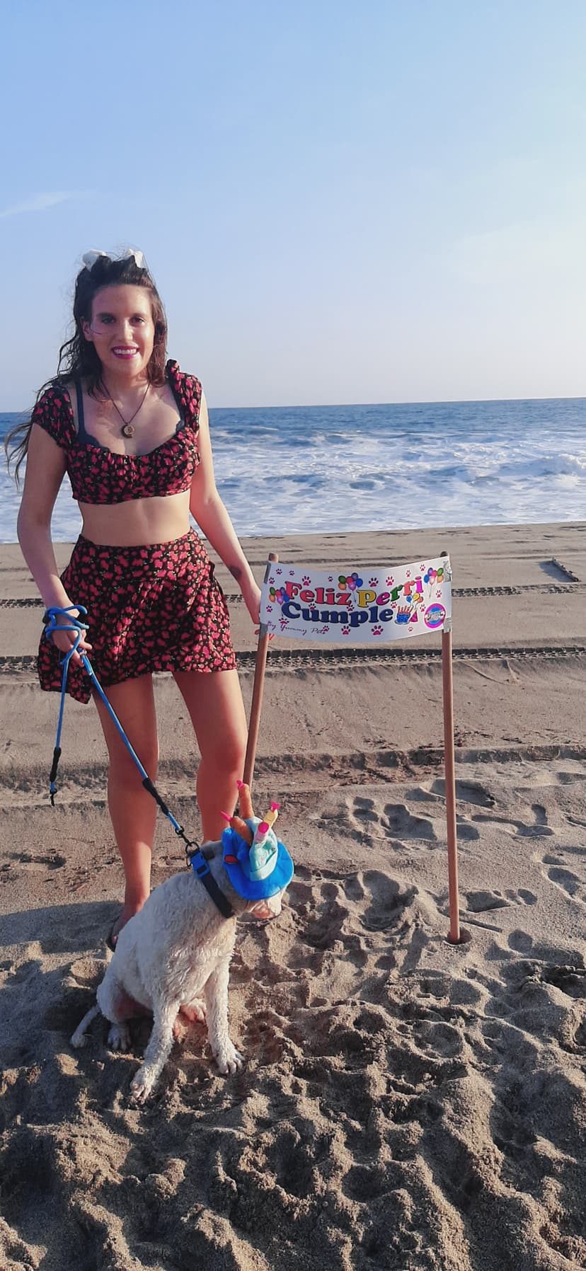 Paseo para perro 