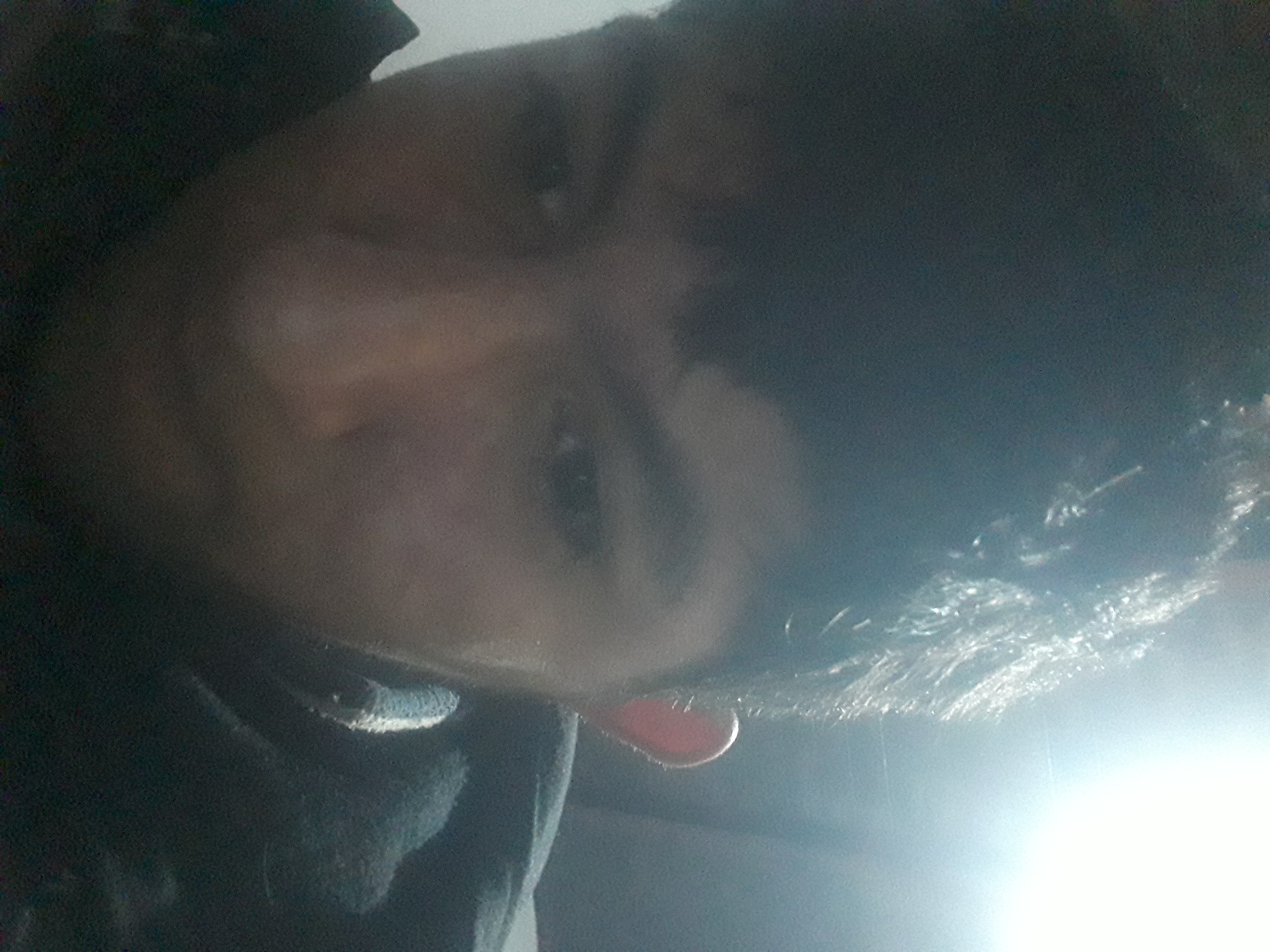 Braian villafañe 