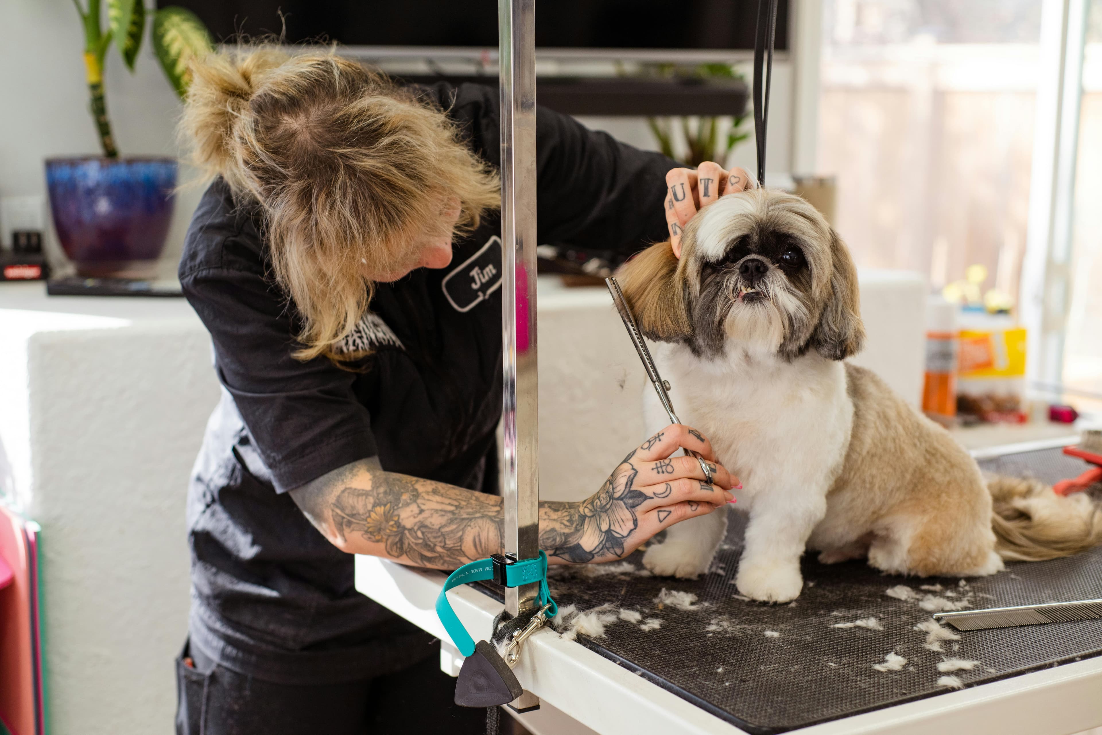 Veterinarios