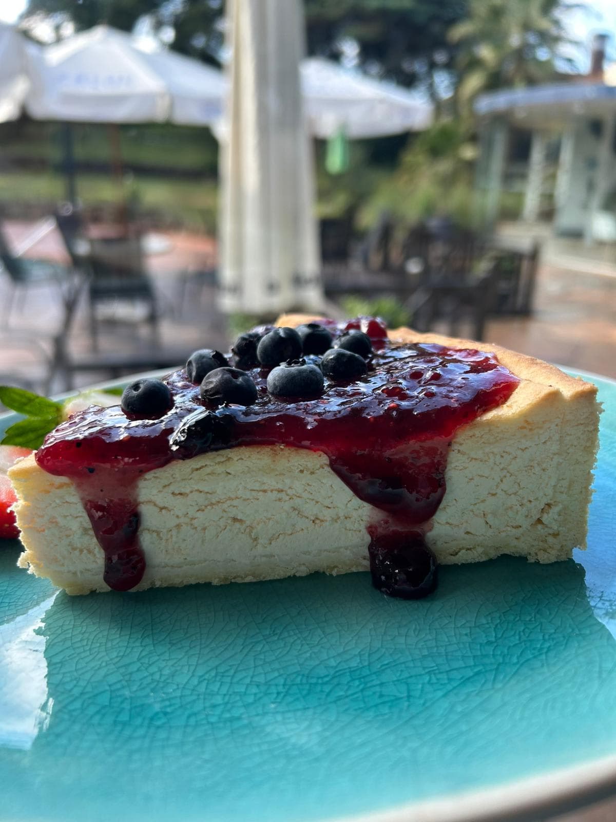 Este Lugar: Restaurante Donde Tu Mascota Es Bienvenida 3 en Punta del Este, Maldonado, Uruguay - Restaurantes pet friendly