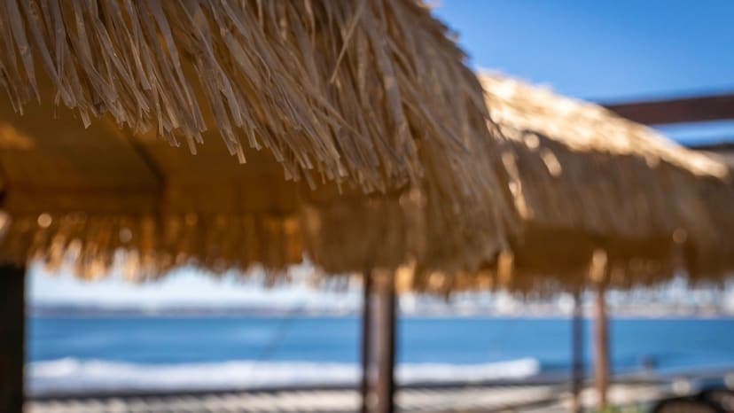 Chill Out Puerto 3 en Punta del Este, Maldonado, Uruguay - Restaurantes pet friendly