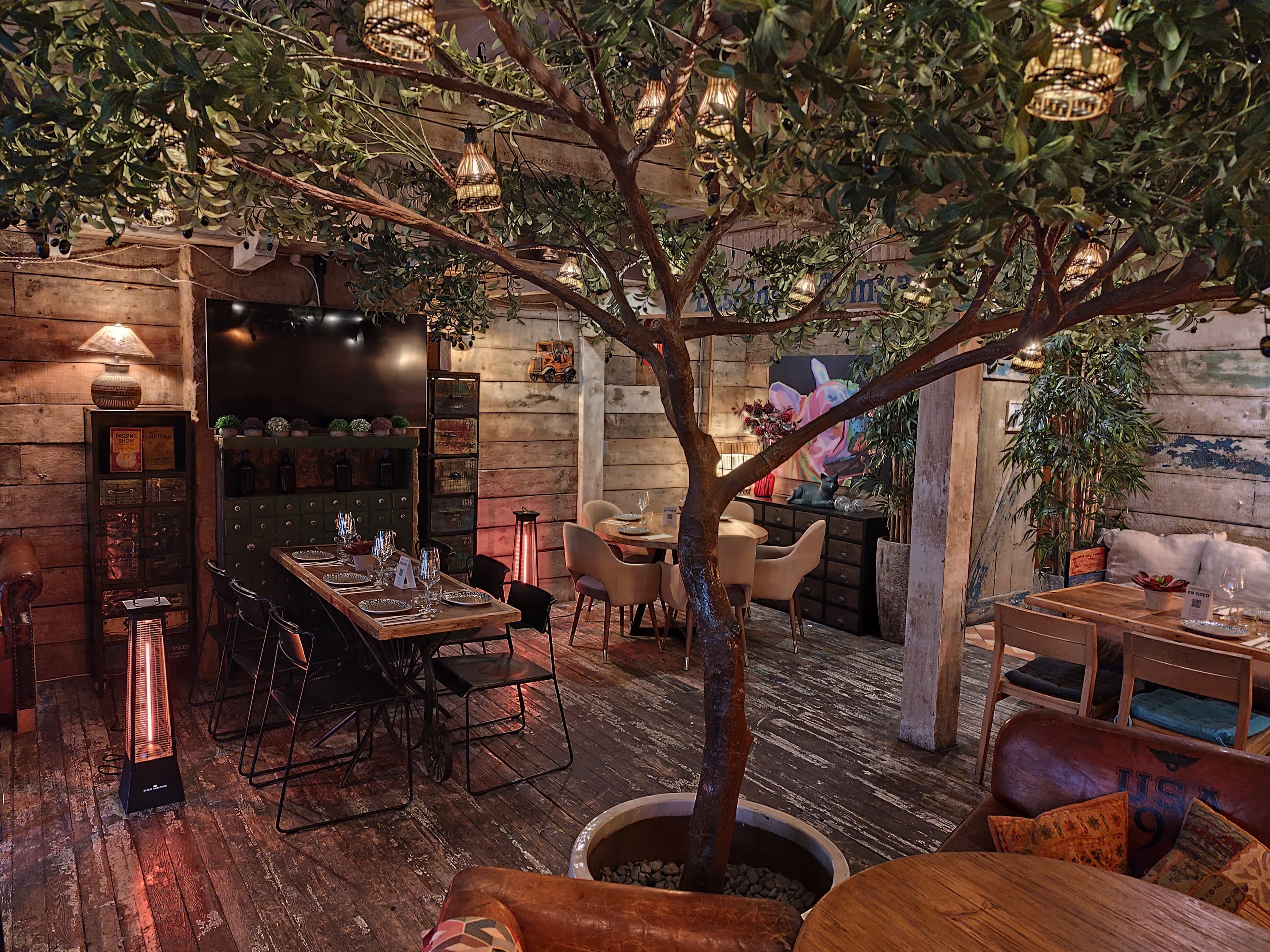 Trattoria La Bonita 2 en Madrid, Comunidad de Madrid, España - Restaurantes pet friendly