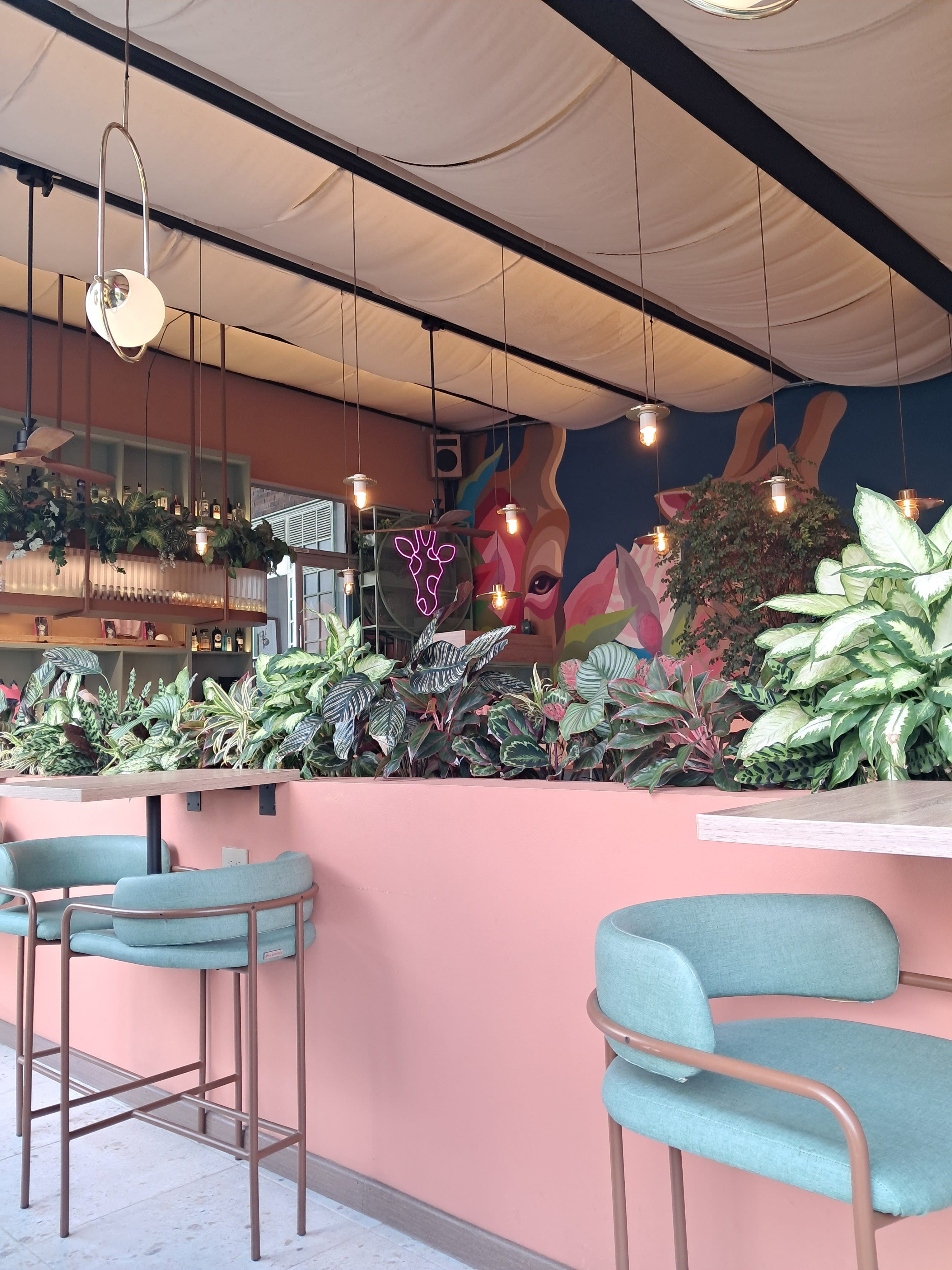 Le Brunch 2 en Medellín, Antioquia, Colombia - Restaurantes pet friendly