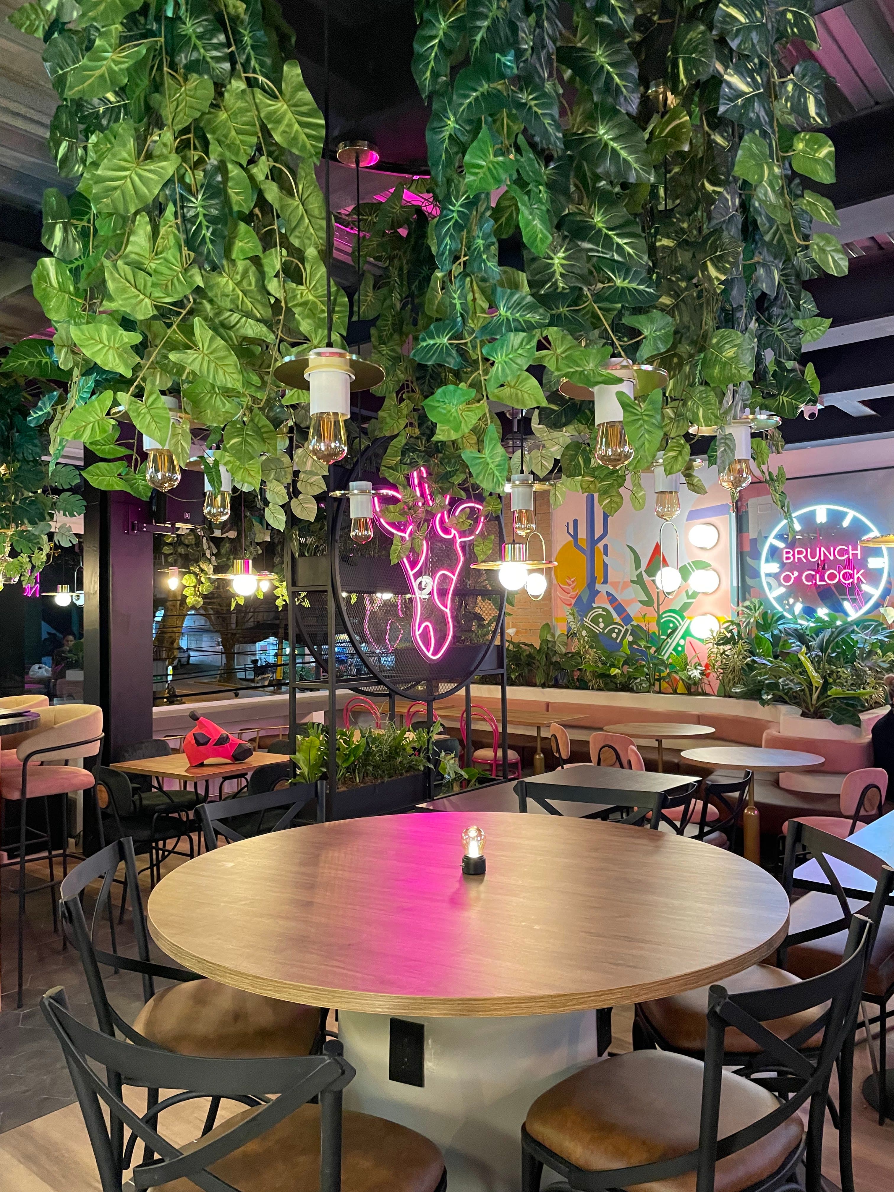 Le Brunch en Medellín, Antioquia, Colombia - Restaurantes pet friendly