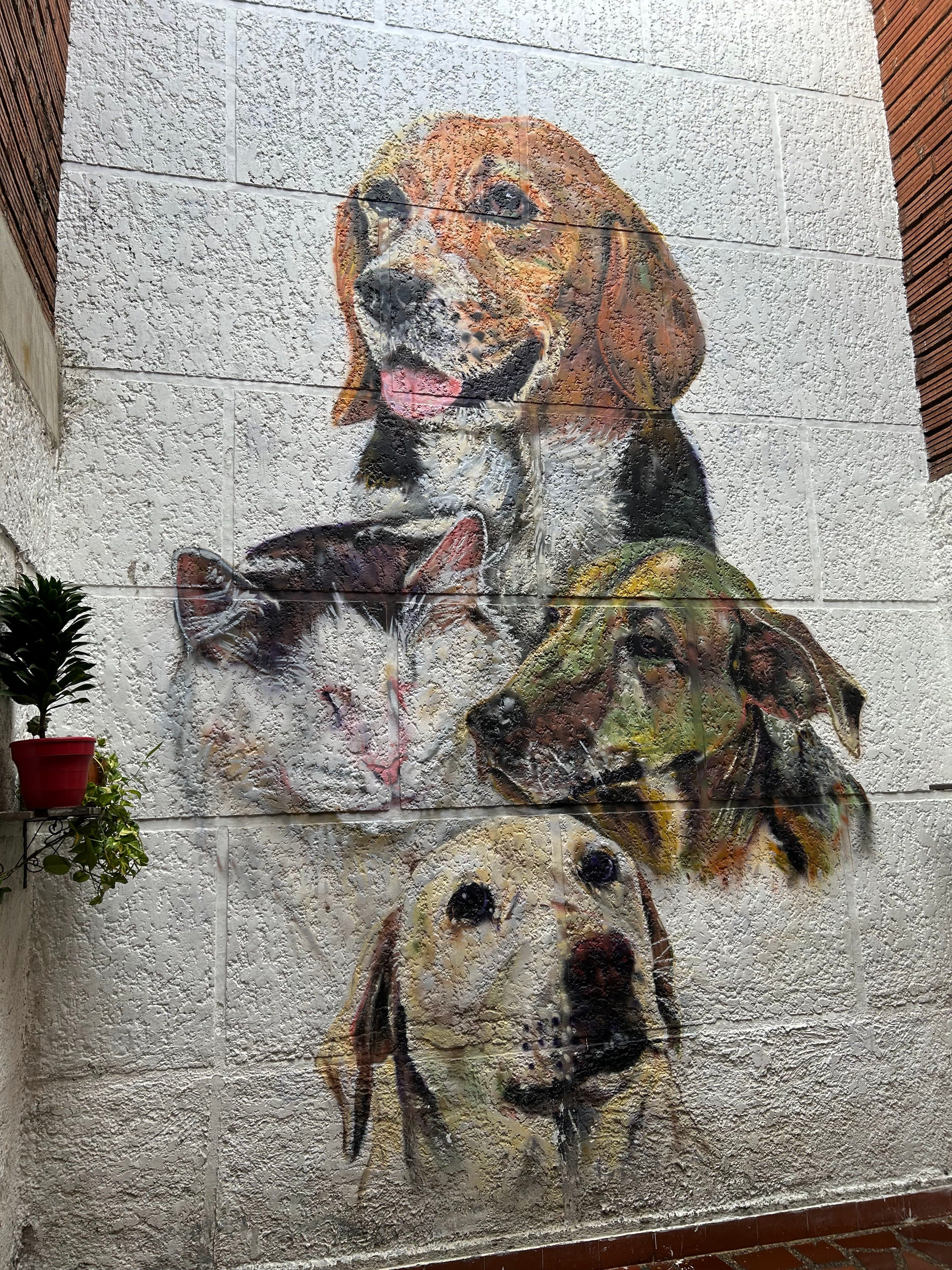 Cafe Fundación 3 en Medellín, Antioquia, Colombia - Cafeterias pet friendly