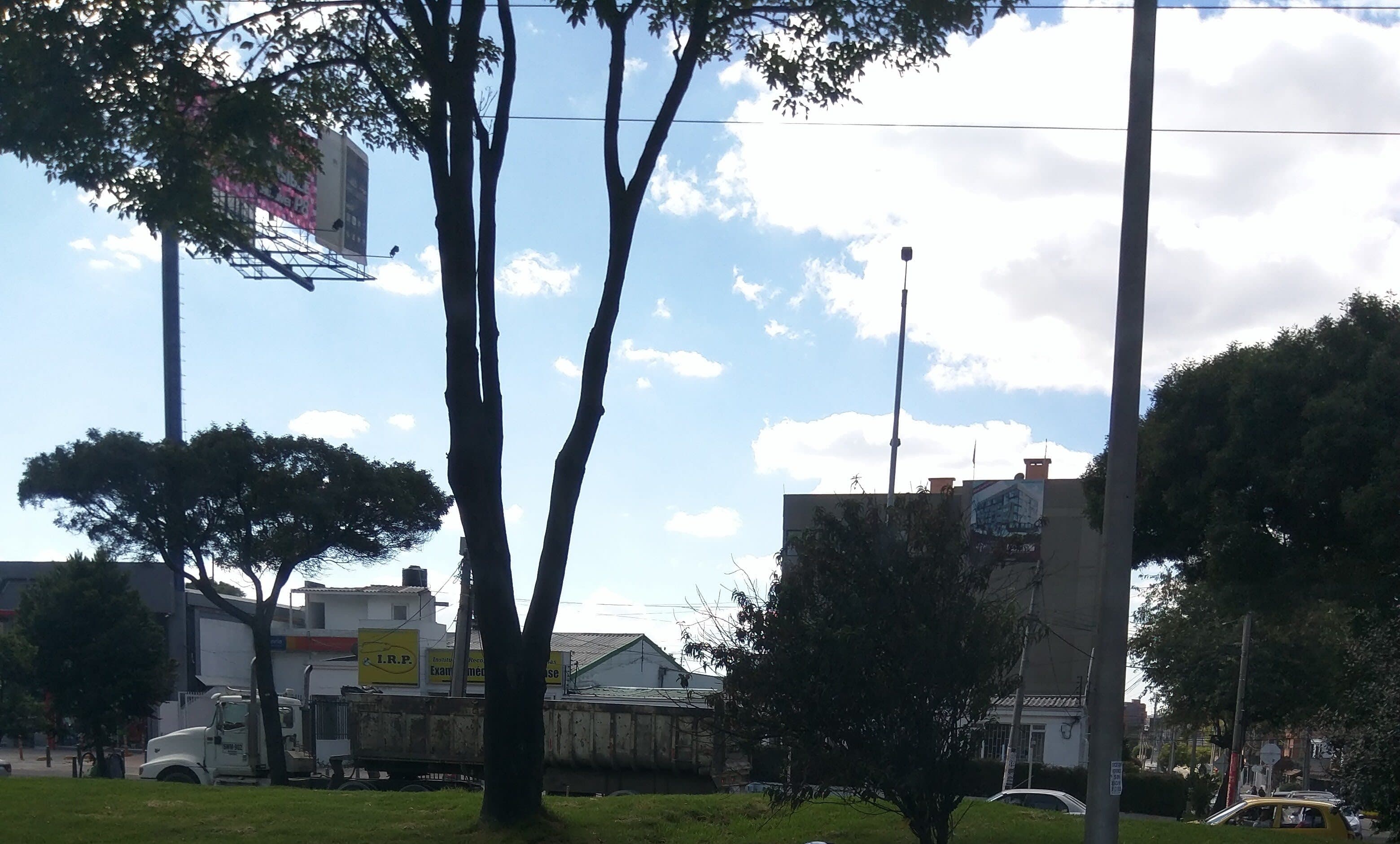 Restaurante en Bogotá, Cundinamarca, Colombia - Restaurantes pet friendly