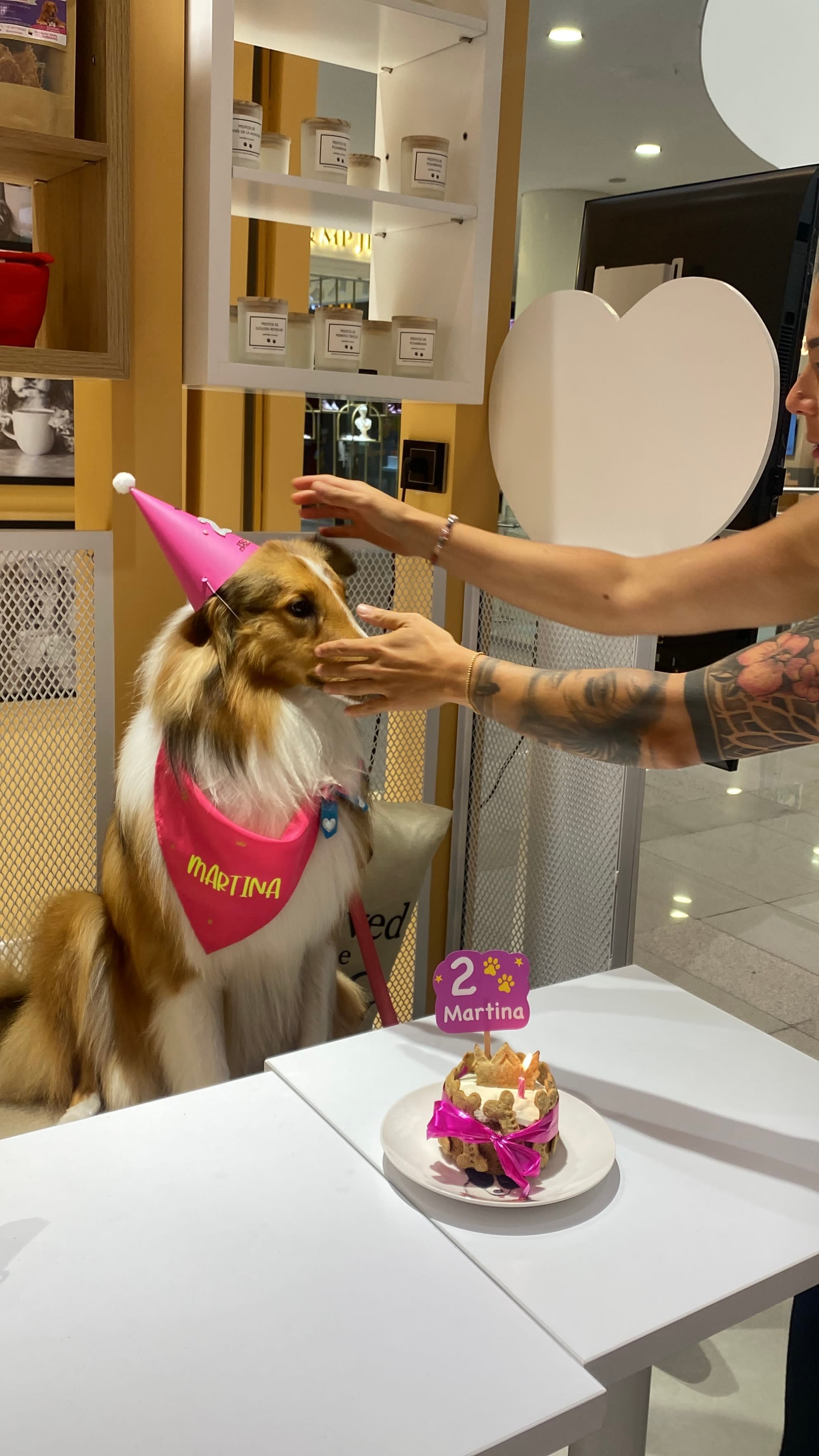 Vidapet Coffee Shop 2 en Medellín, Antioquia, Colombia - Cafeterias pet friendly