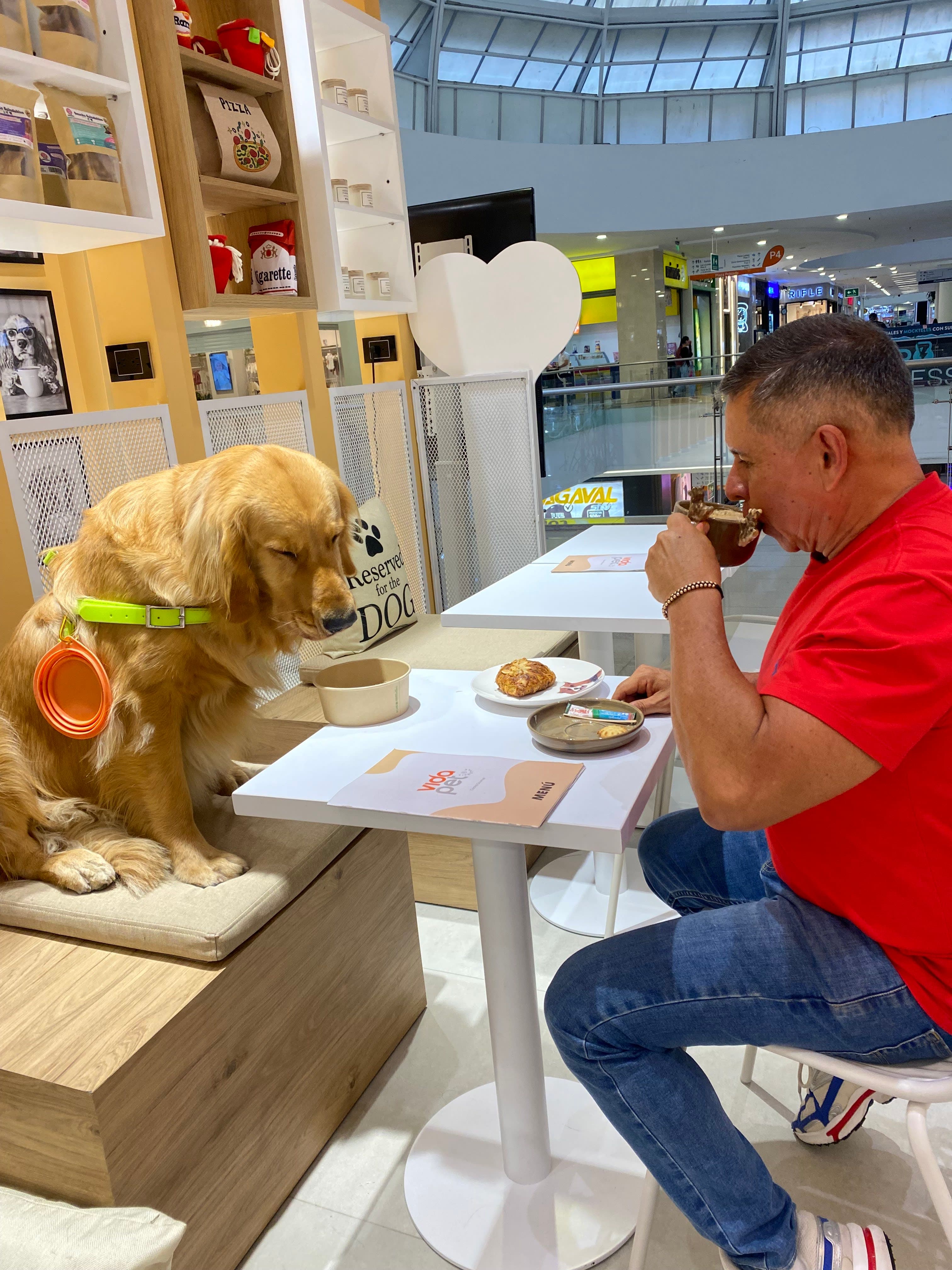 Vidapet Coffee Shop 3 en Medellín, Antioquia, Colombia - Cafeterias pet friendly