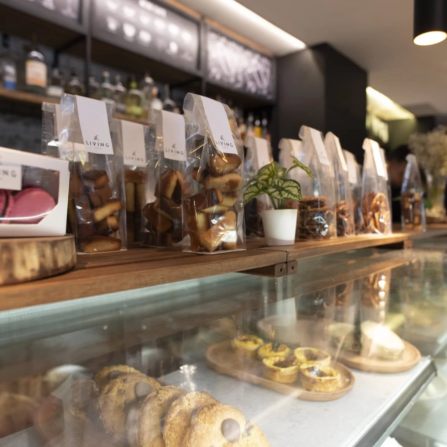 Living Café 2 en Santiago, Metropolitana de Santiago, Chile - Restaurantes pet friendly