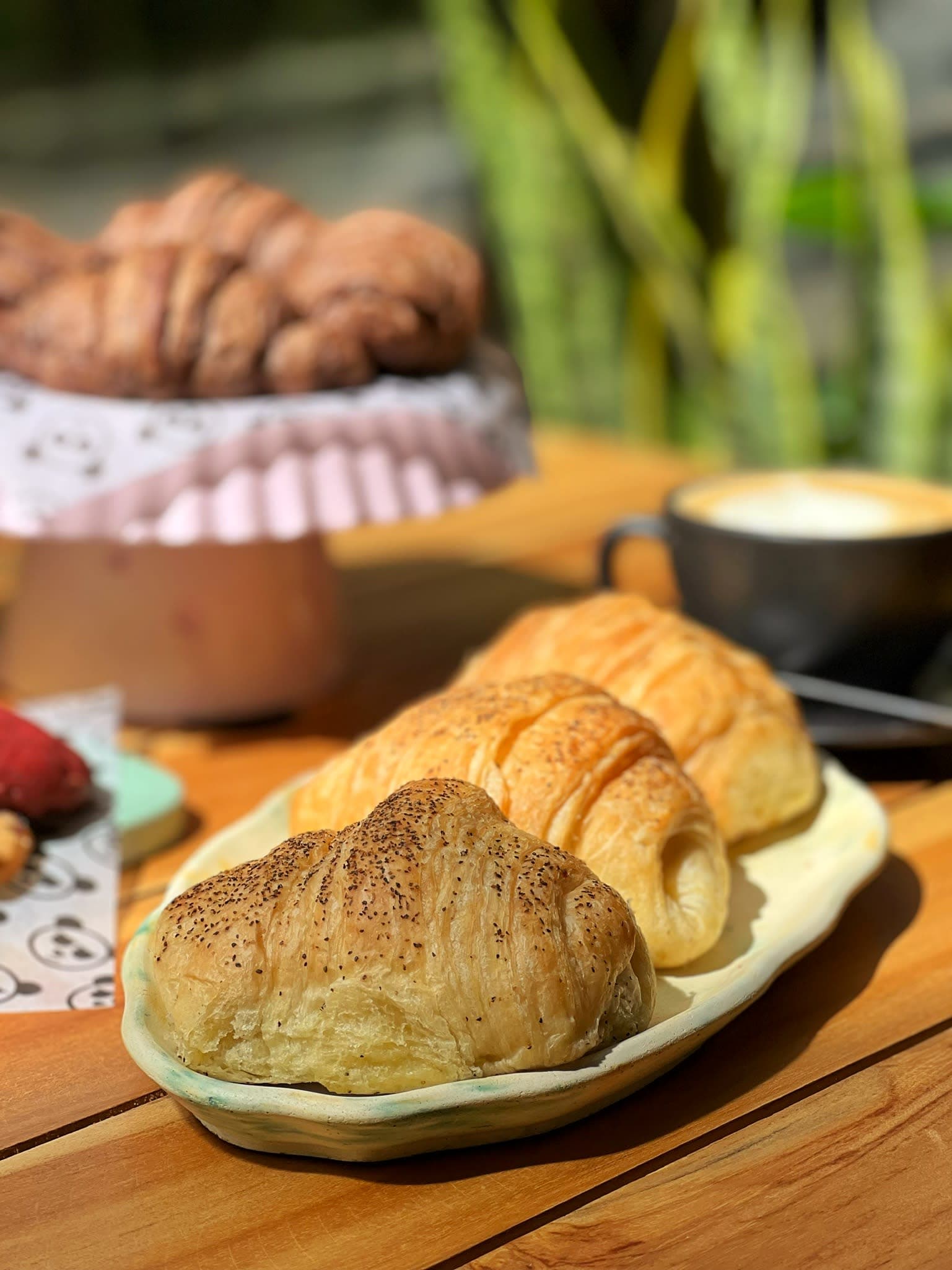 Clemente Café and Flowers 2 en Medellín, Antioquia, Colombia - Cafeterias pet friendly