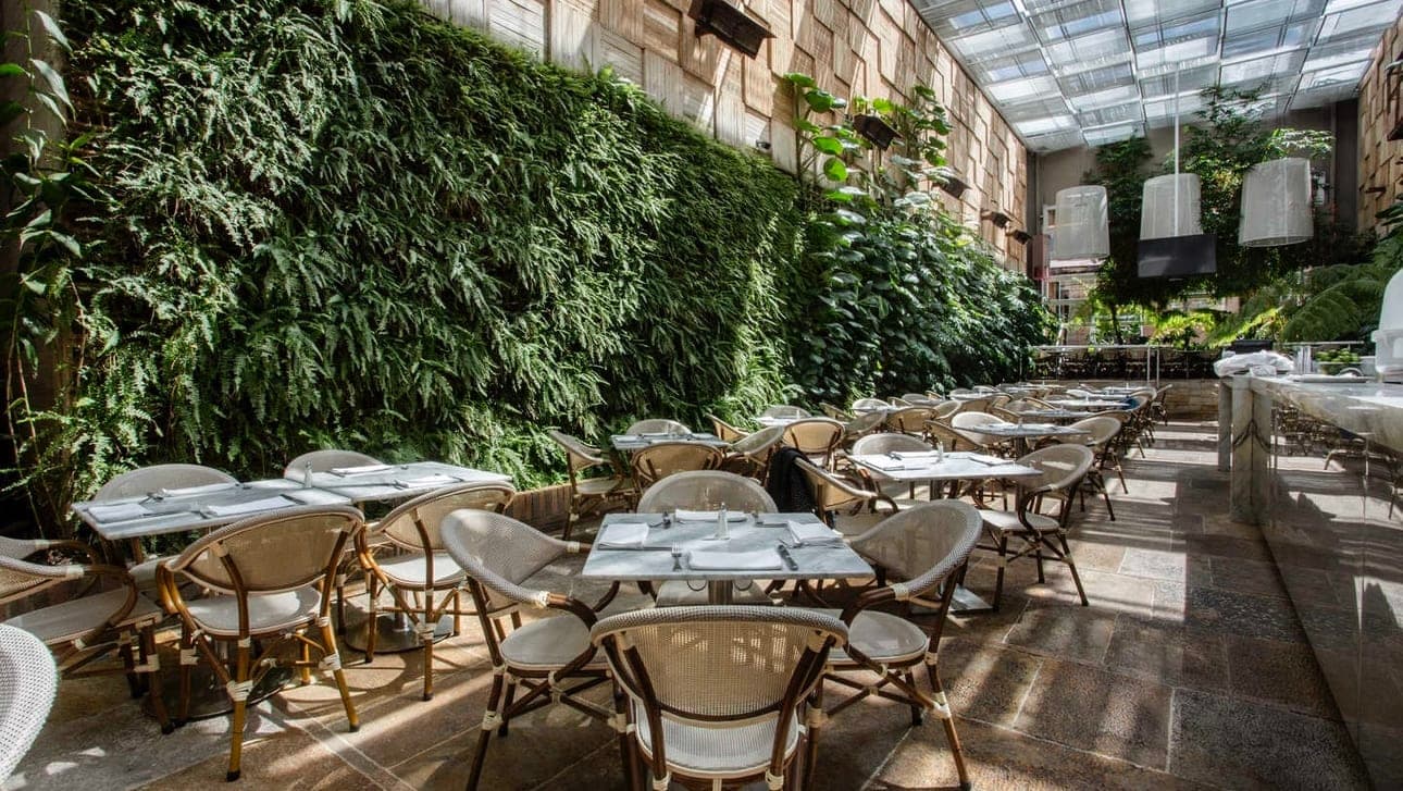 Café Amarti en Bogotá, Cundinamarca, Colombia - Restaurantes pet friendly