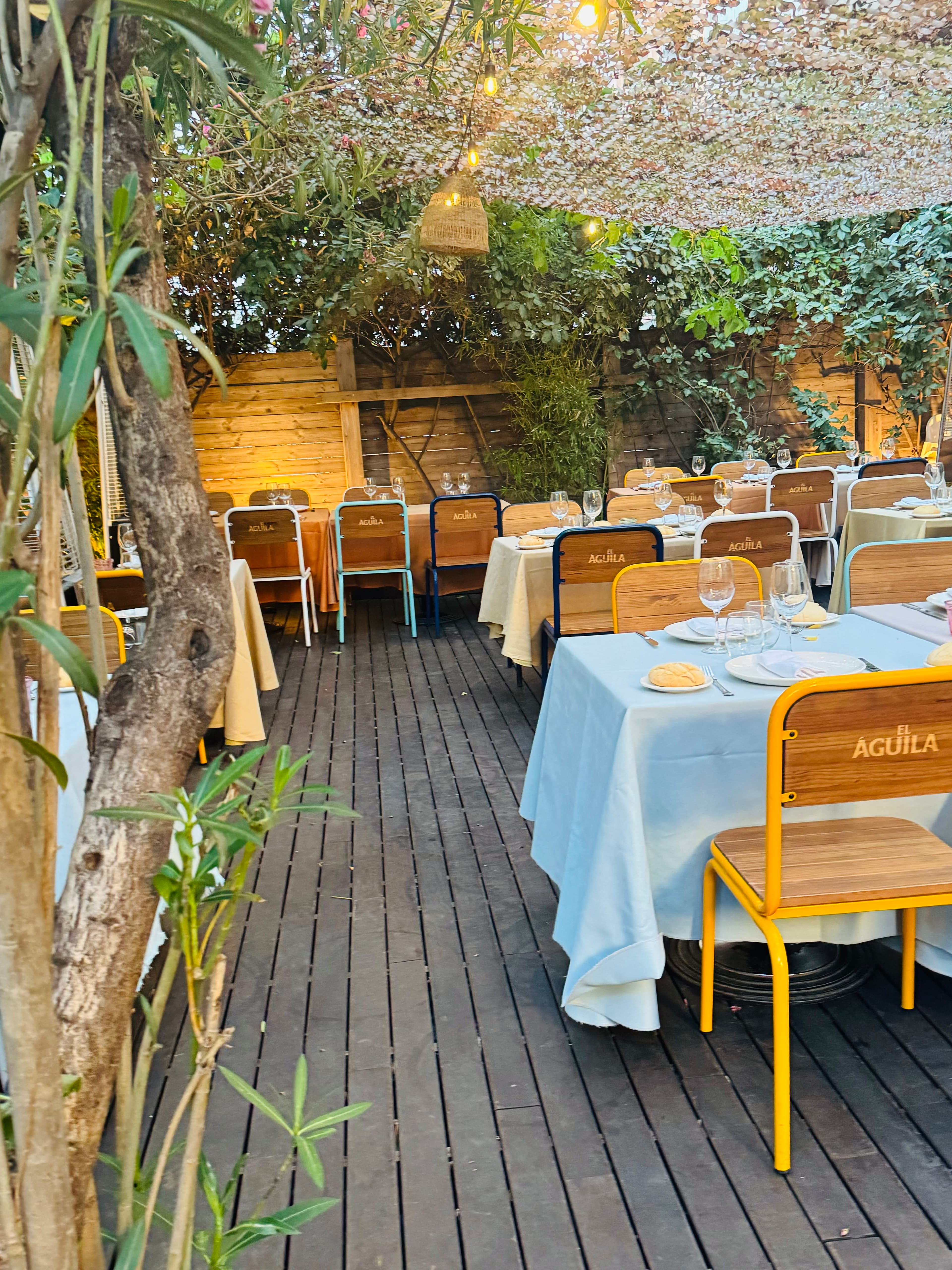 Doña Tecla en Madrid, Comunidad de Madrid, España - Restaurantes pet friendly