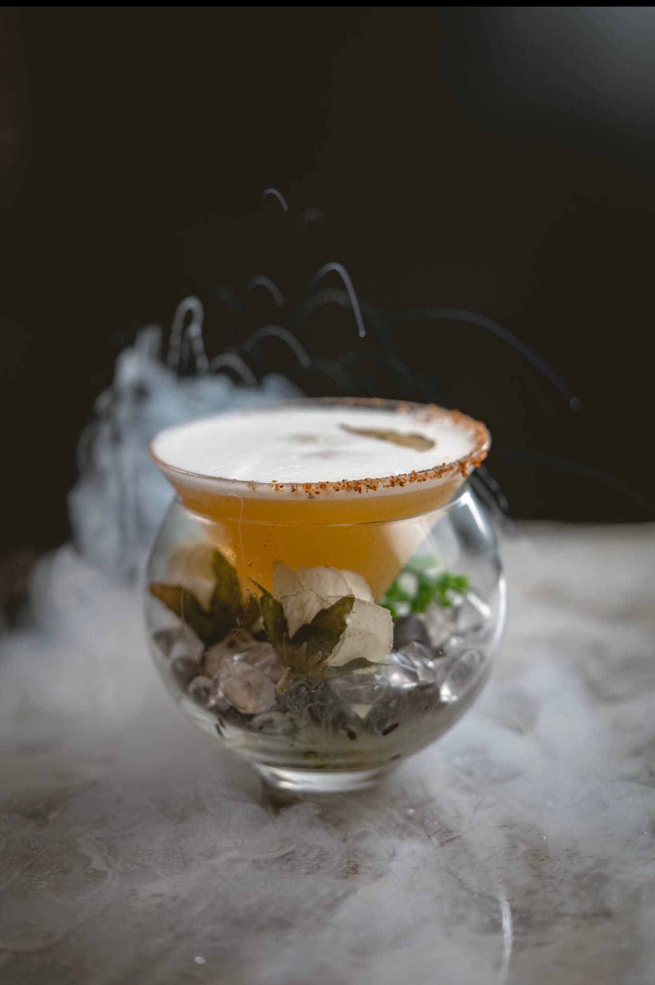 Café Noir Bar & Lounge 3 en Medellín, Antioquia, Colombia - Cafeterias pet friendly