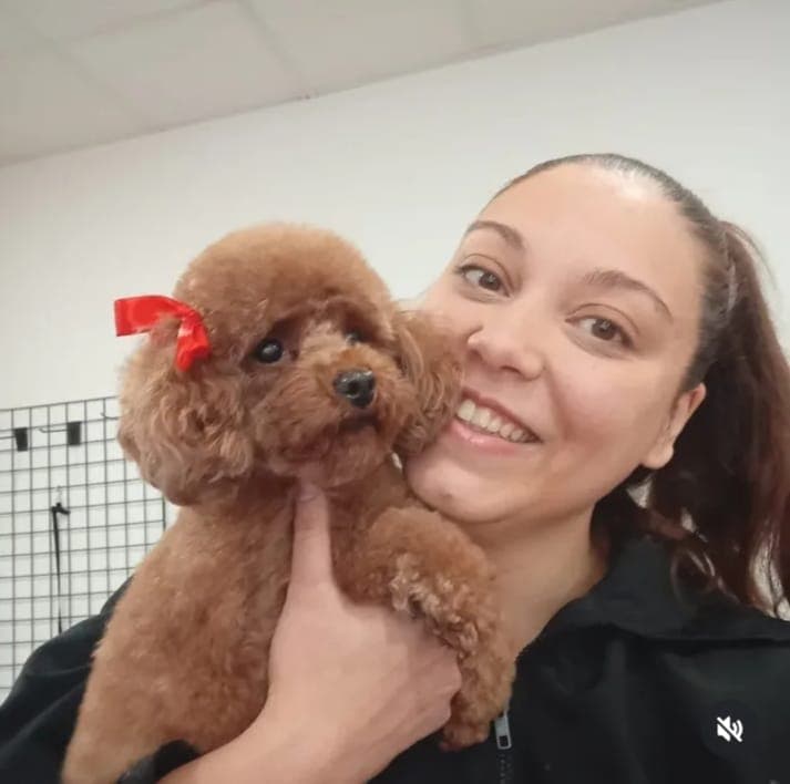 Arte Canino 2 en Ávila, Castilla y León, España - Peluquería para perros