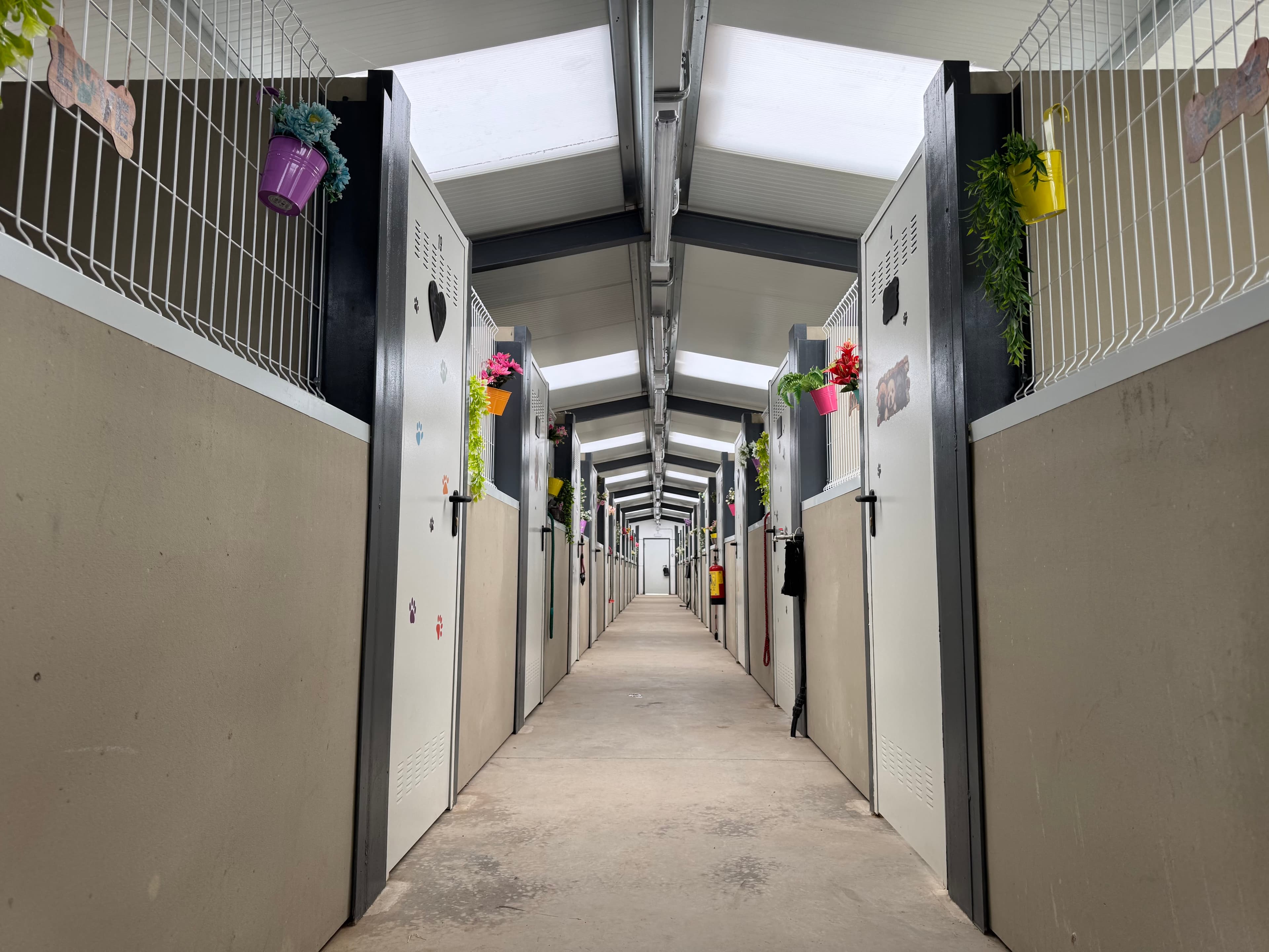 Centro Canino Avilcan en Ávila, Castilla y León, España - Peluquería para perros