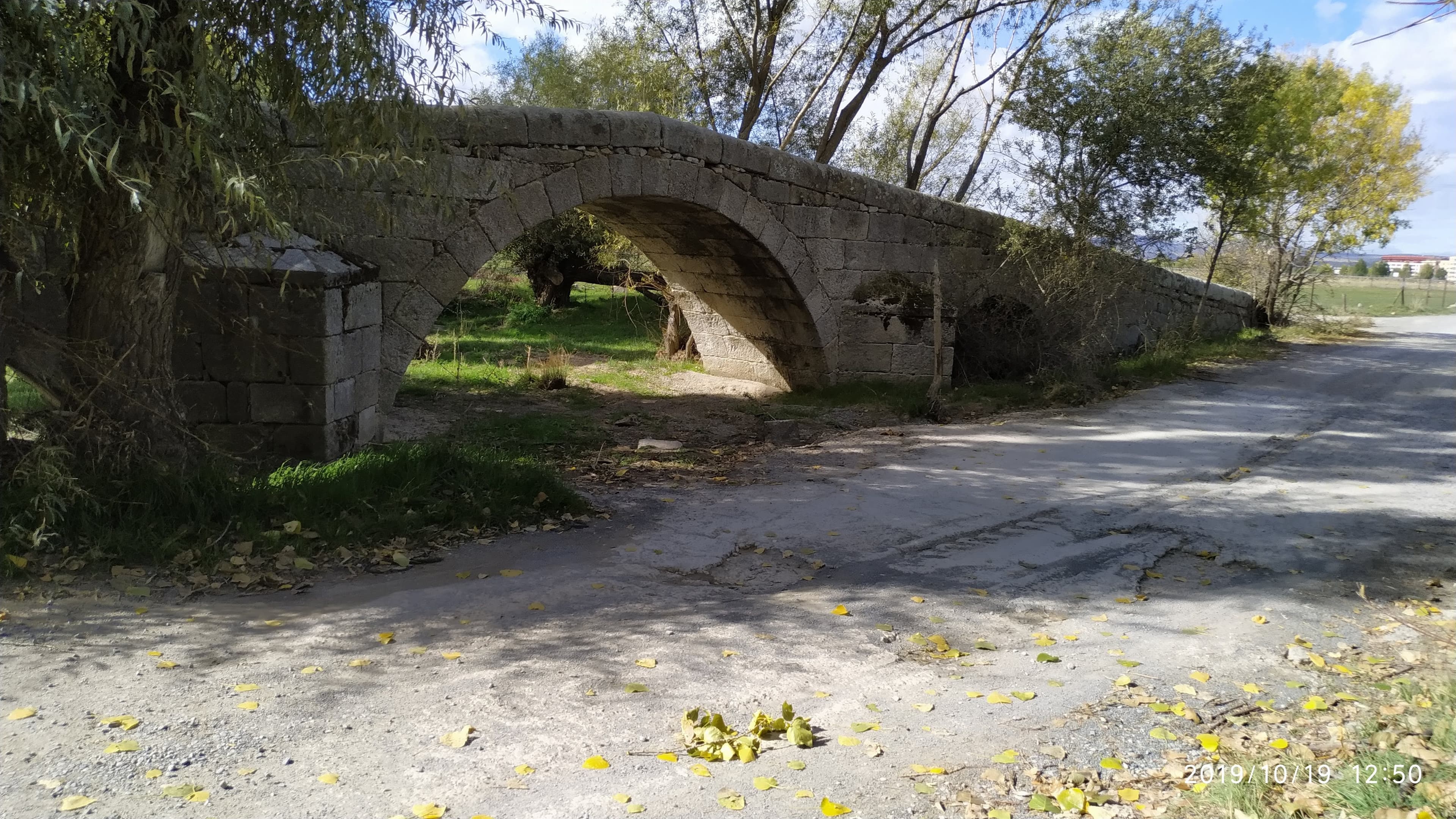 Babieca en Ávila, Castilla y León, España - Peluquería para perros