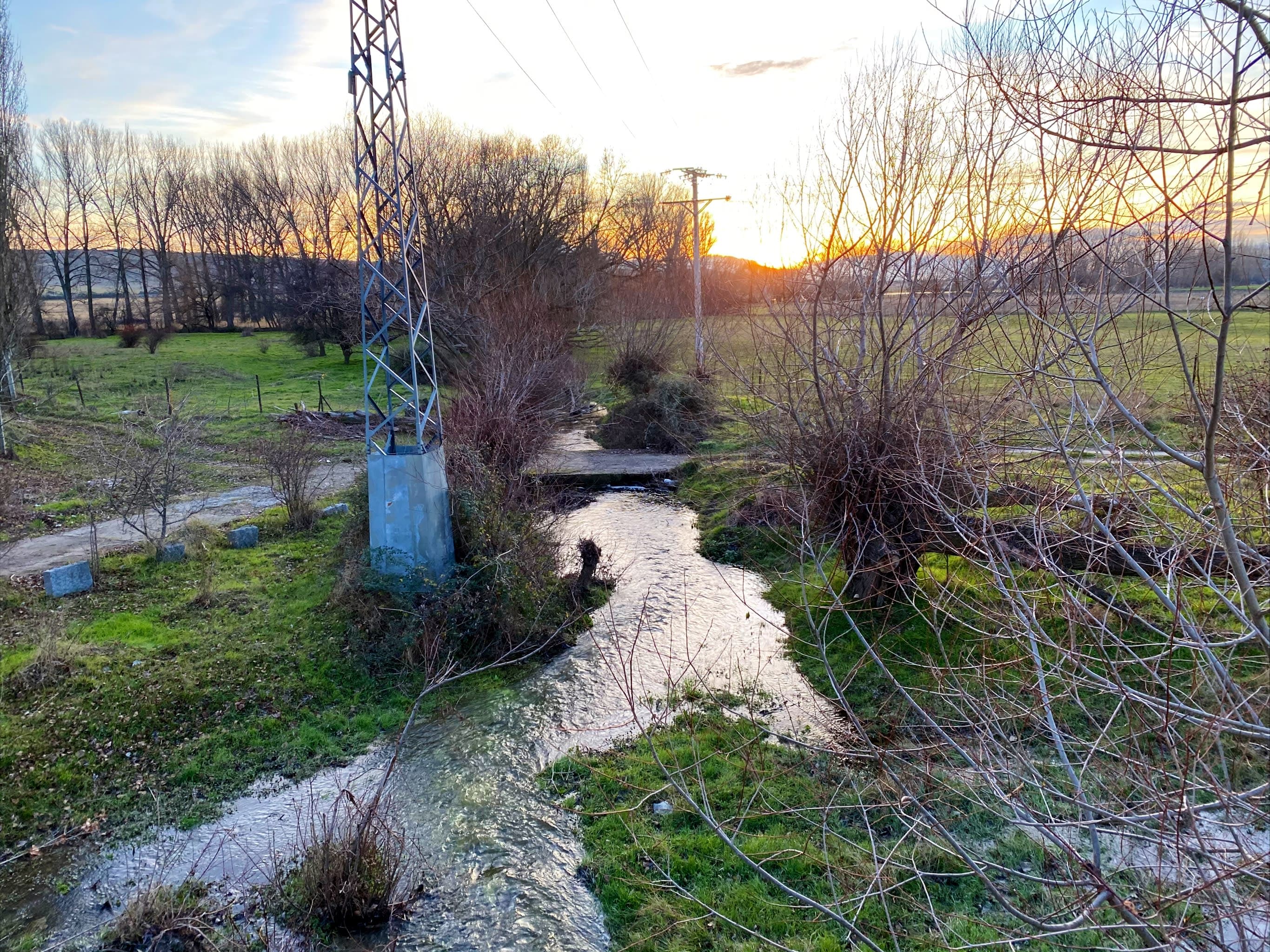 Babieca 2 en Ávila, Castilla y León, España - Peluquería para perros