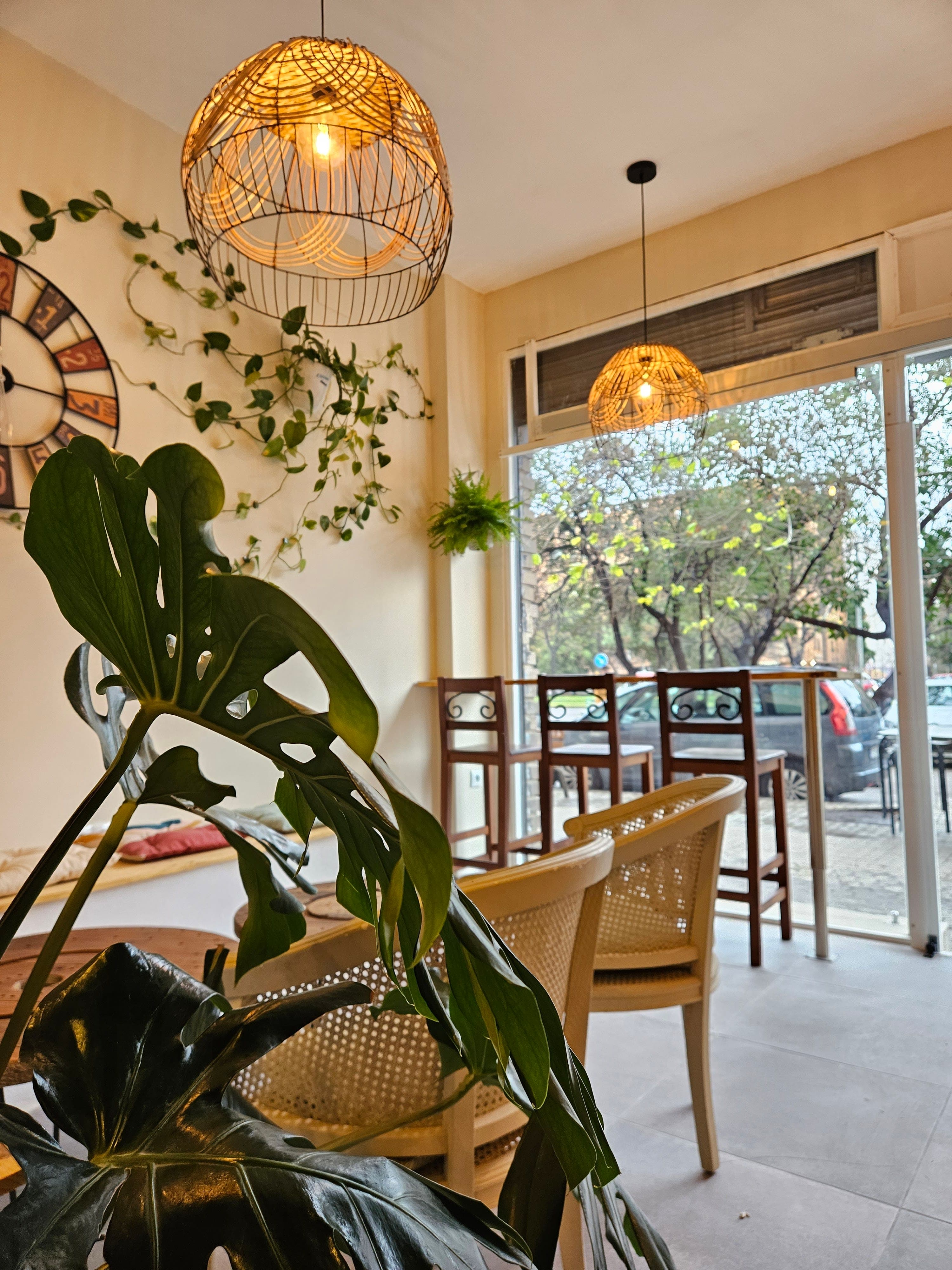 Fronda café en Valencia, Valencia, España - Cafeterias pet friendly