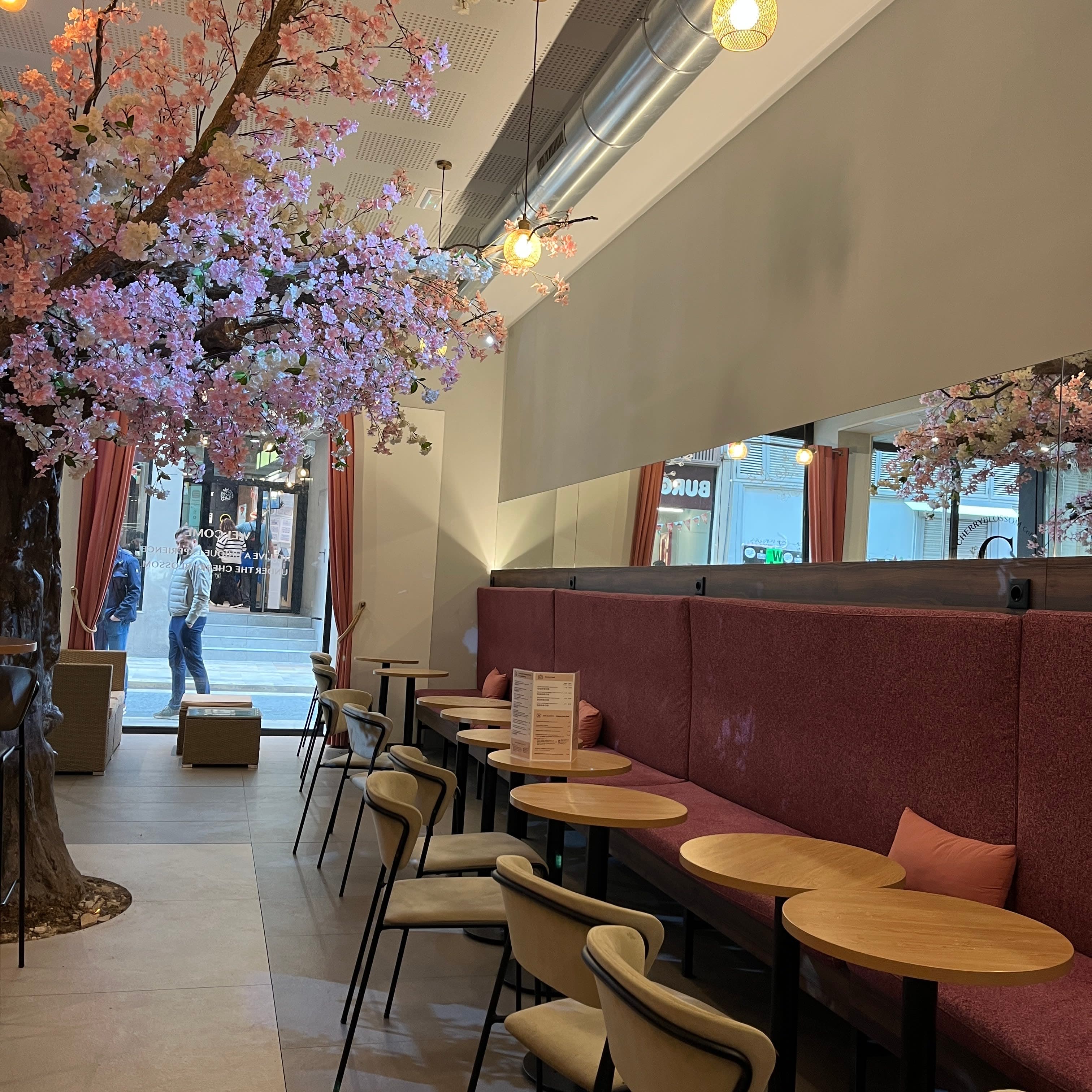 Cherry Blossom Valencia 2 en Valencia, Valencia, España - Restaurantes pet friendly