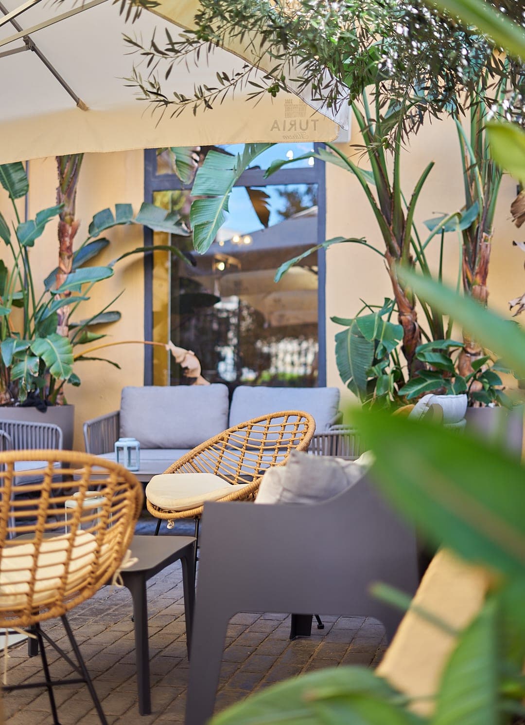 Redondo en Boca en Valencia, Valencia, España - Restaurantes pet friendly