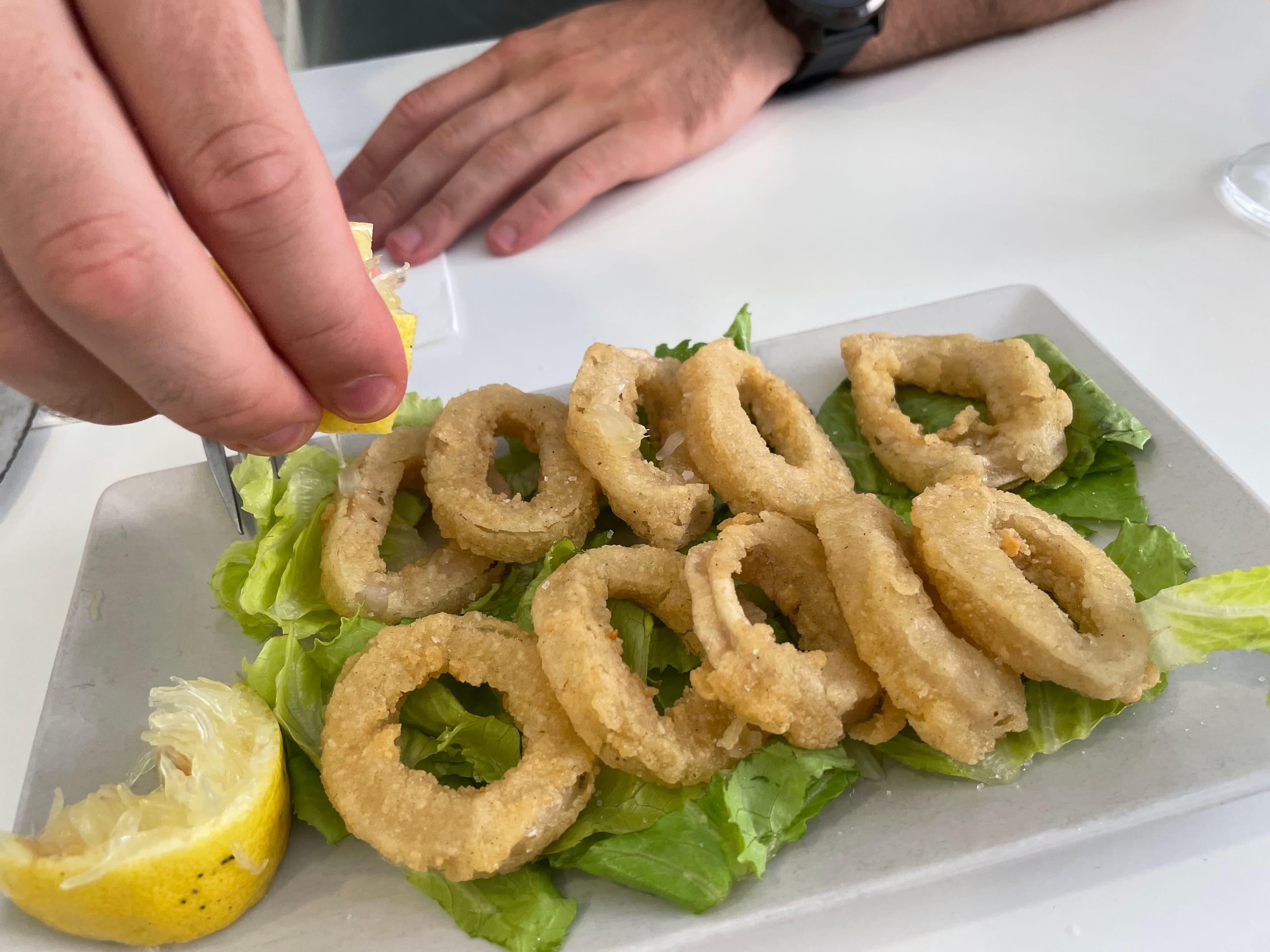 Pipoca 3 en Murcia, Murcia, España - Restaurantes pet friendly