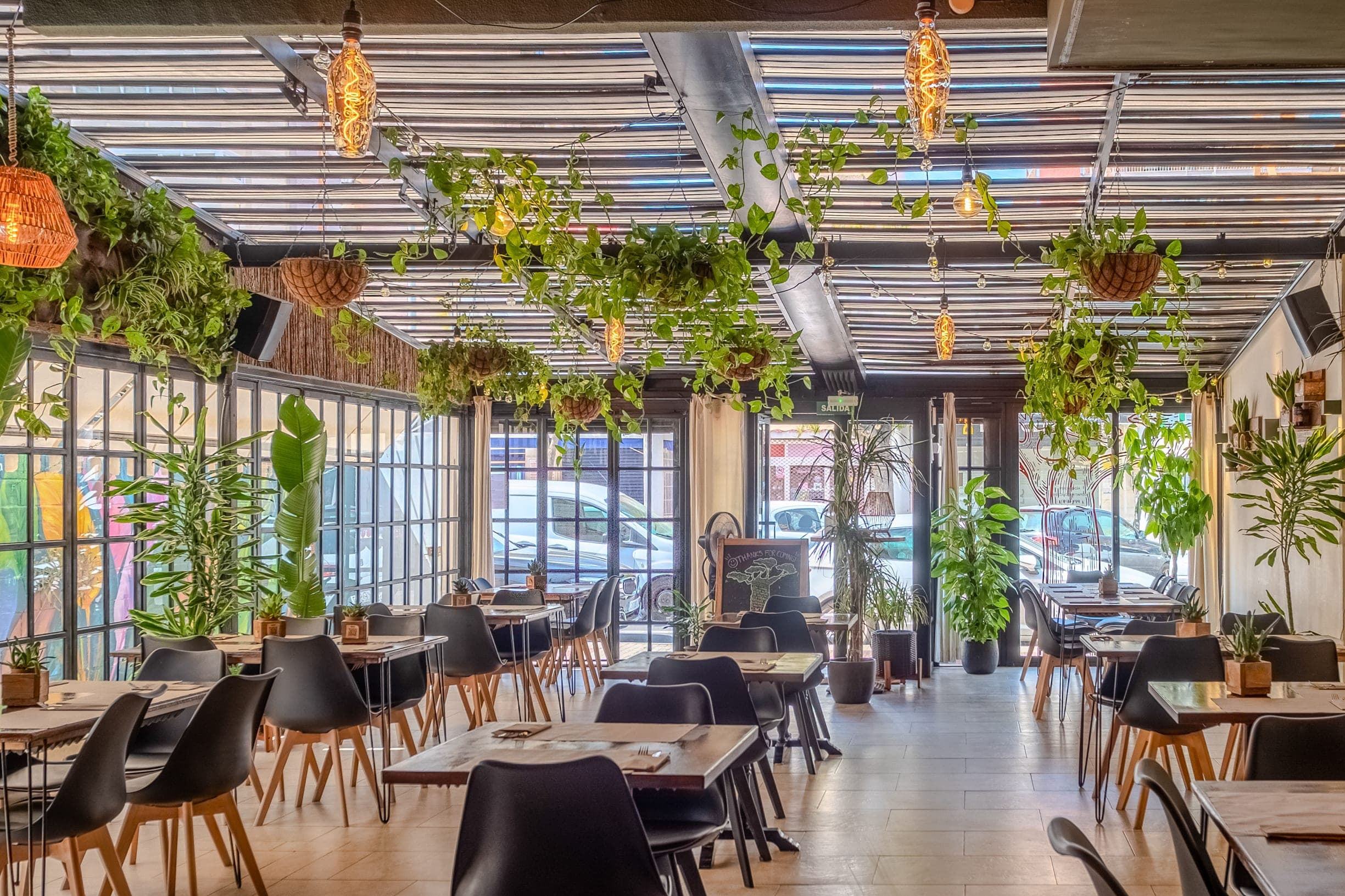 Baobab Soul Kitchen & Bar en Alicante, Valencia, España - Restaurantes pet friendly