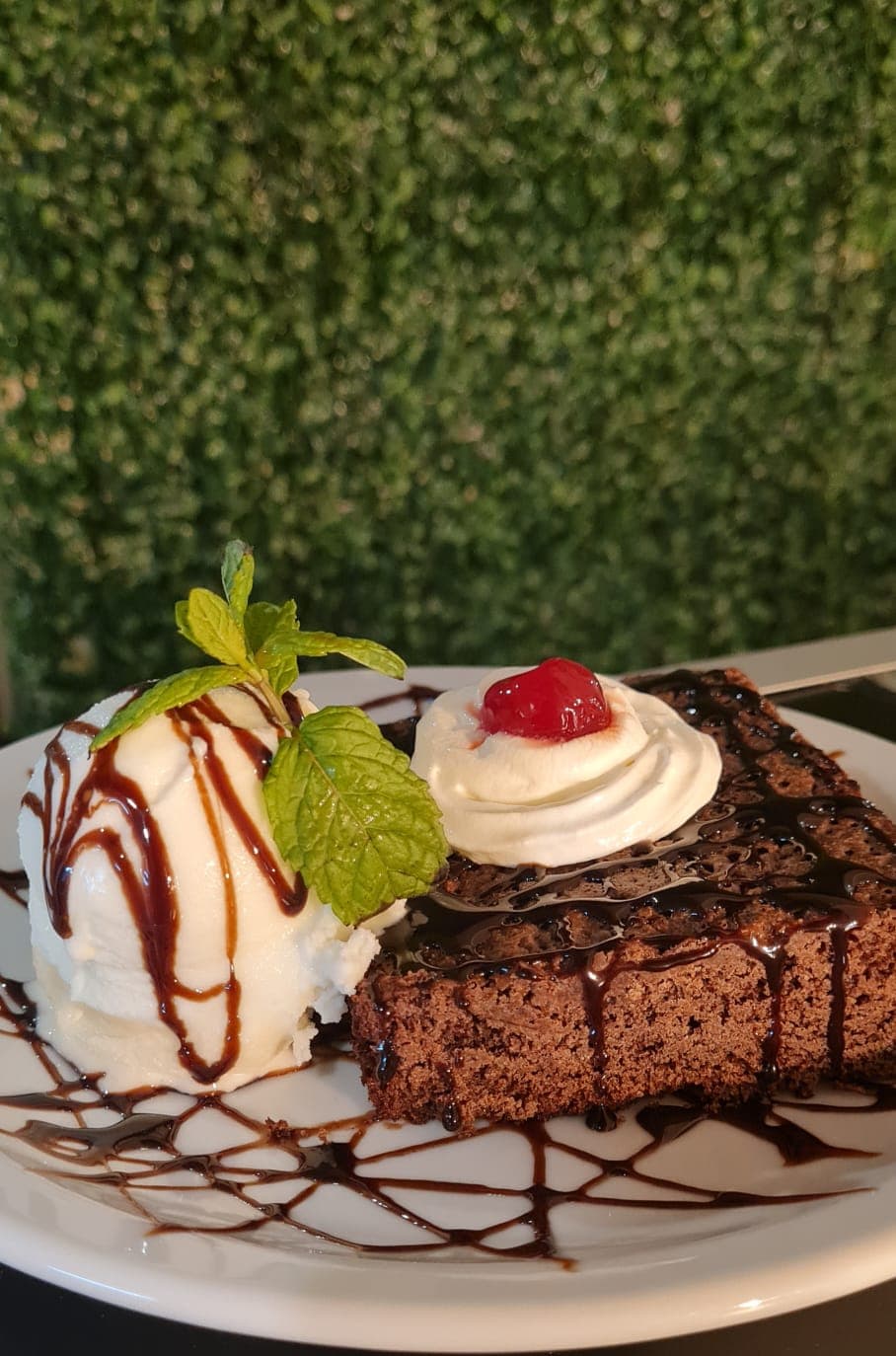 Wöllen 2 en Monteros, Tucumán, Argentina - Restaurantes pet friendly