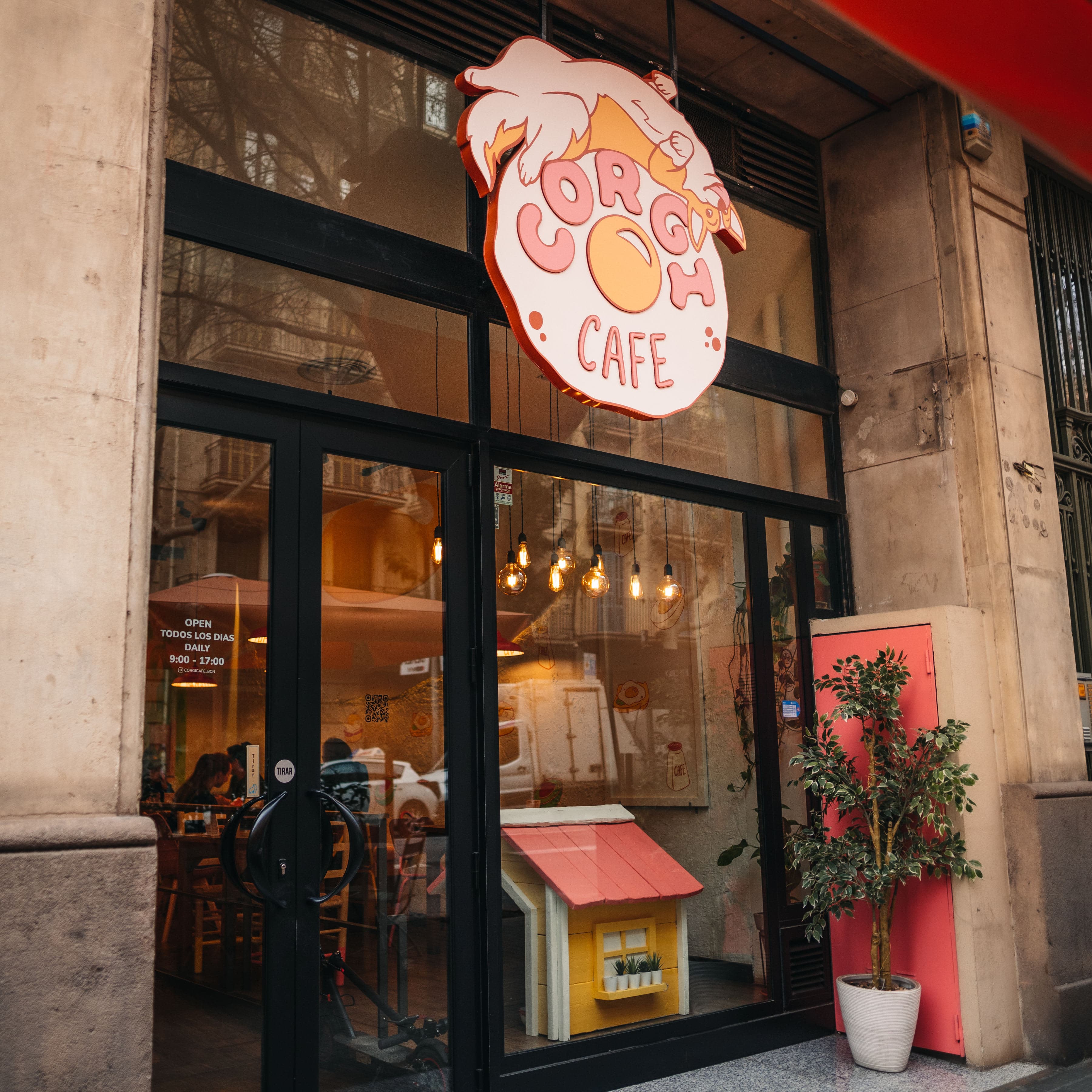 Corgi Cafe en Barcelona, Cataluña, España - Restaurantes pet friendly