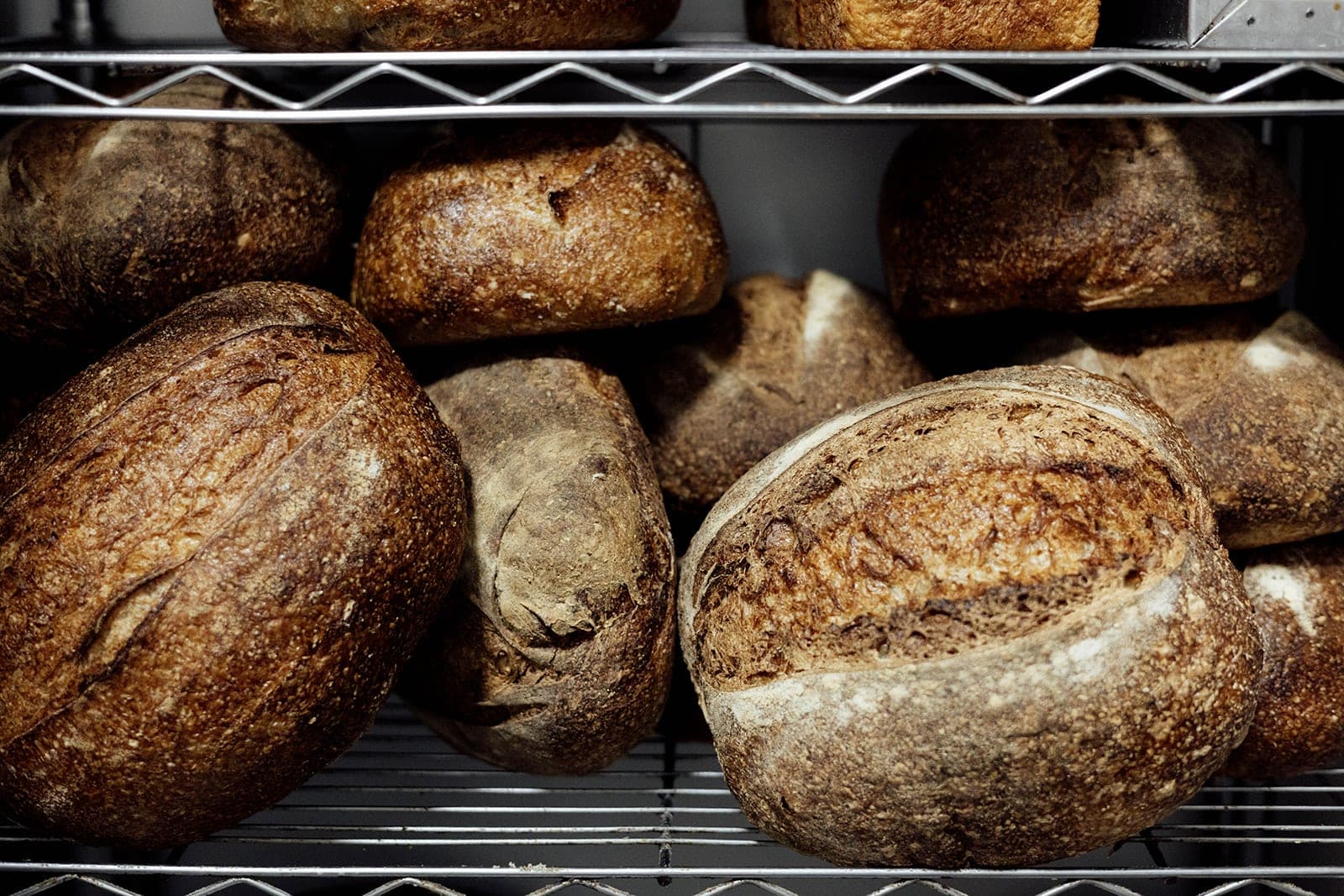 Sip and Wonder 3 en Alicante, Valencia, España - Restaurantes pet friendly