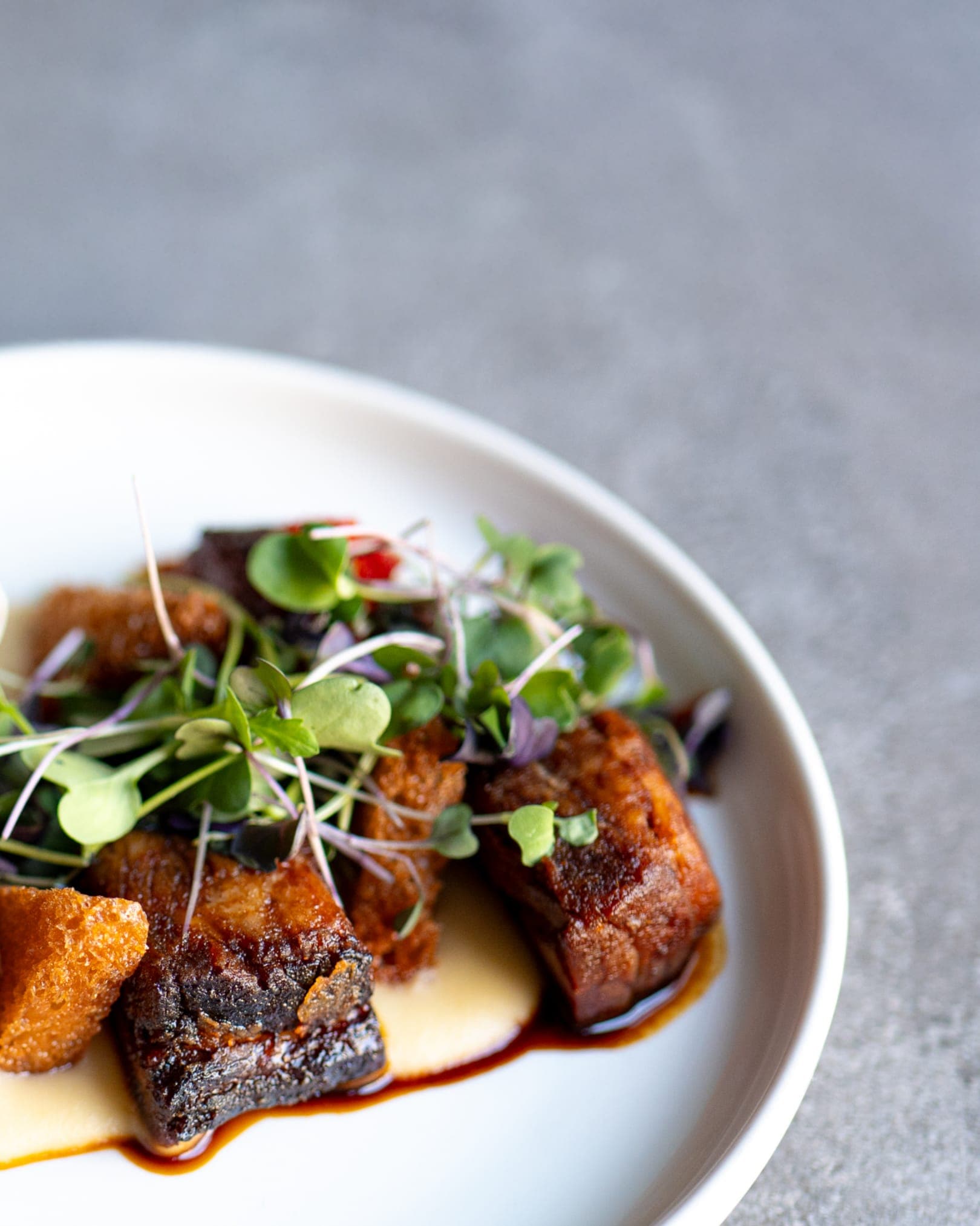 Tortuga 2 en Barcelona, Cataluña, España - Restaurantes pet friendly