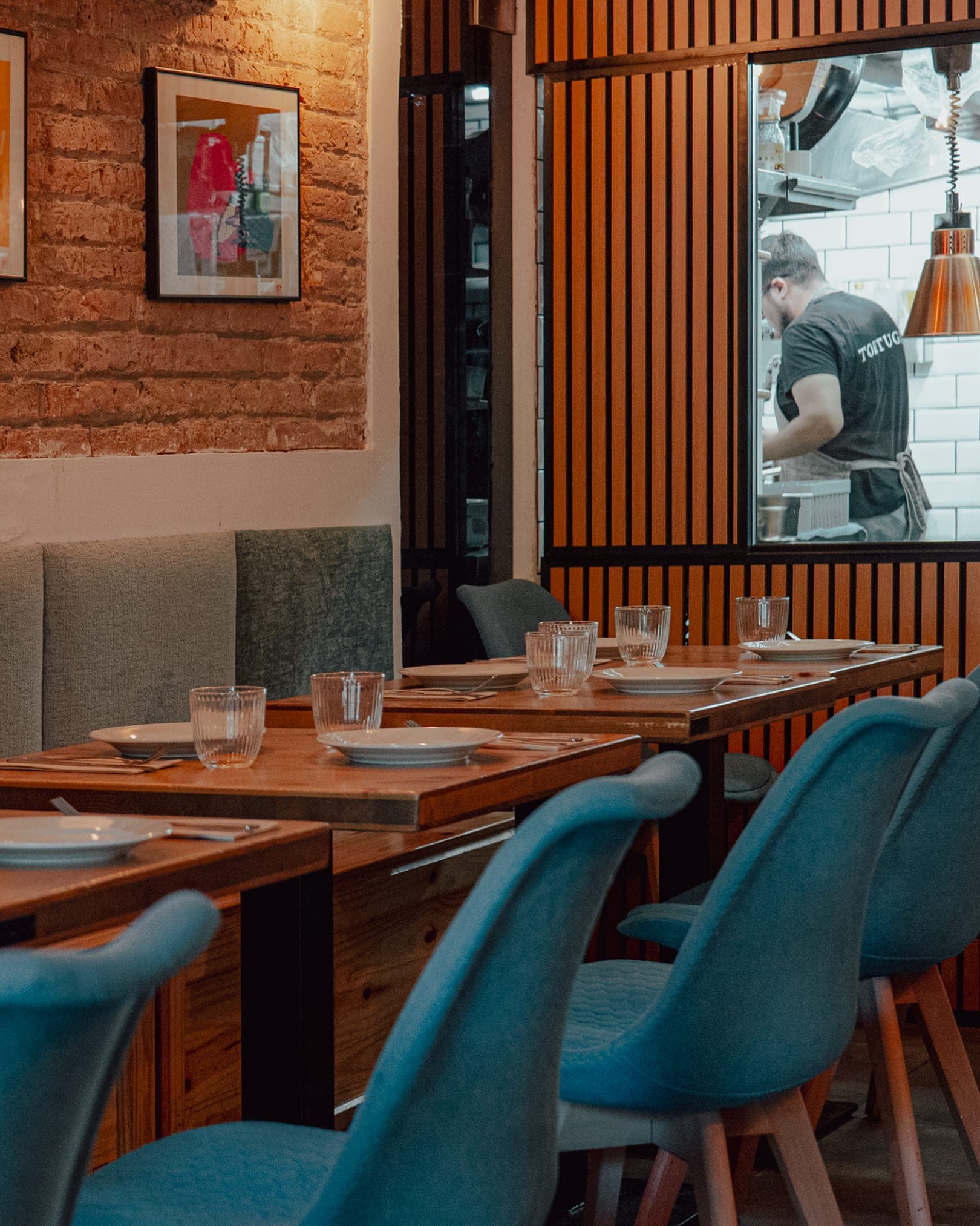 Tortuga en Barcelona, Cataluña, España - Restaurantes pet friendly