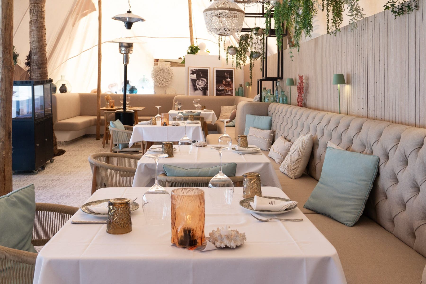 La Perla Marbella en Marbella, Andalucía, España - Restaurantes pet friendly