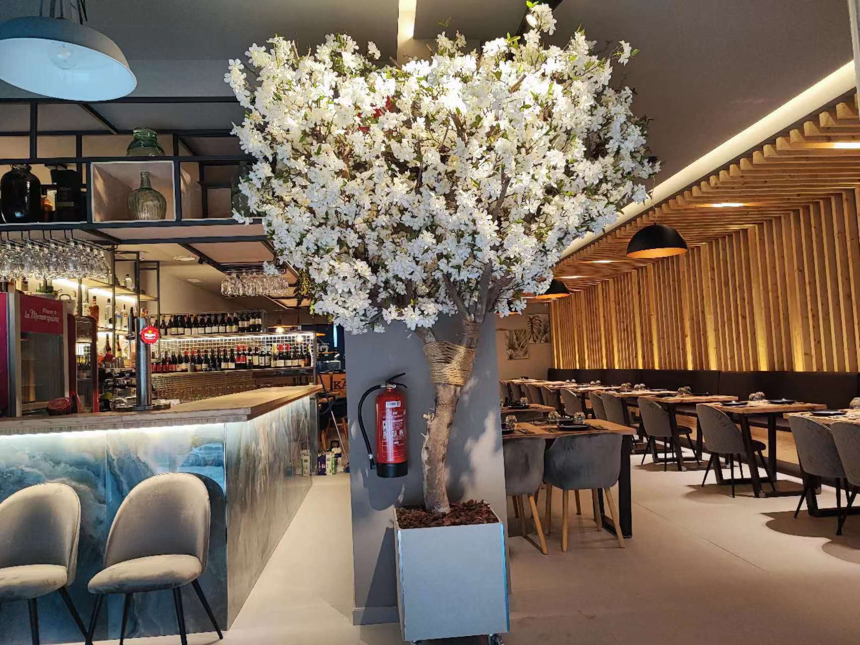 Kashoku en Reus, Cataluña, España - Restaurantes pet friendly