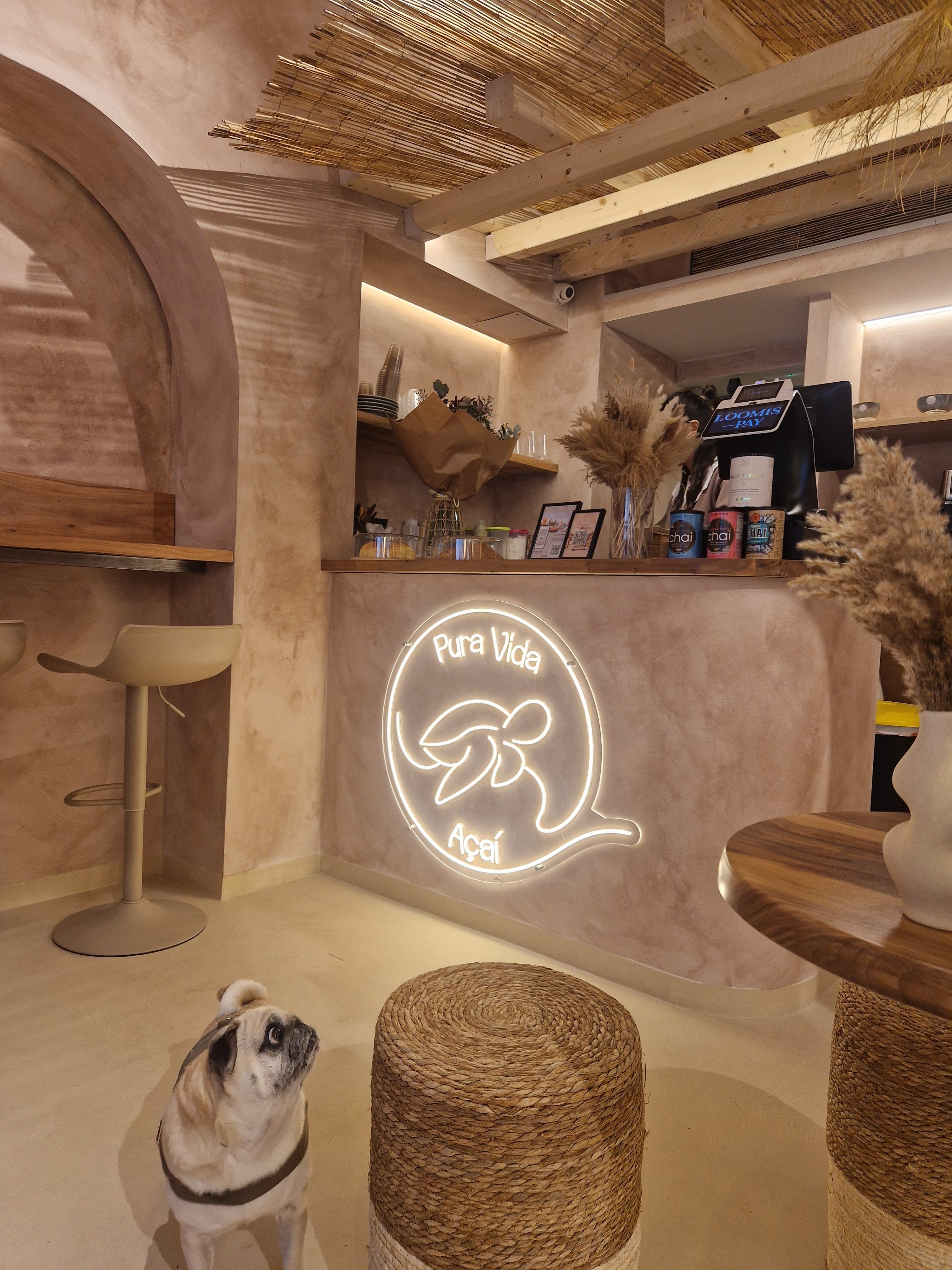 Pura Vida Açaí Colón 3 en Valencia, Valencia, España - Restaurantes pet friendly