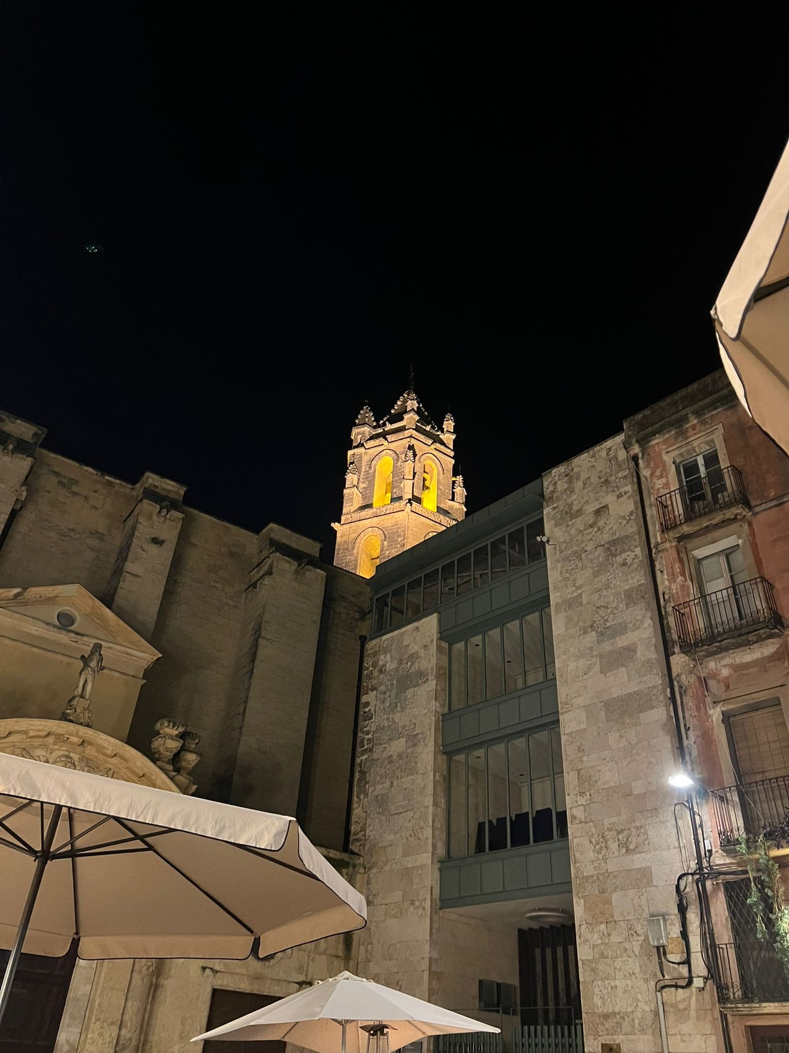 The Green Dog Café 3 en Reus, Cataluña, España - Restaurantes pet friendly