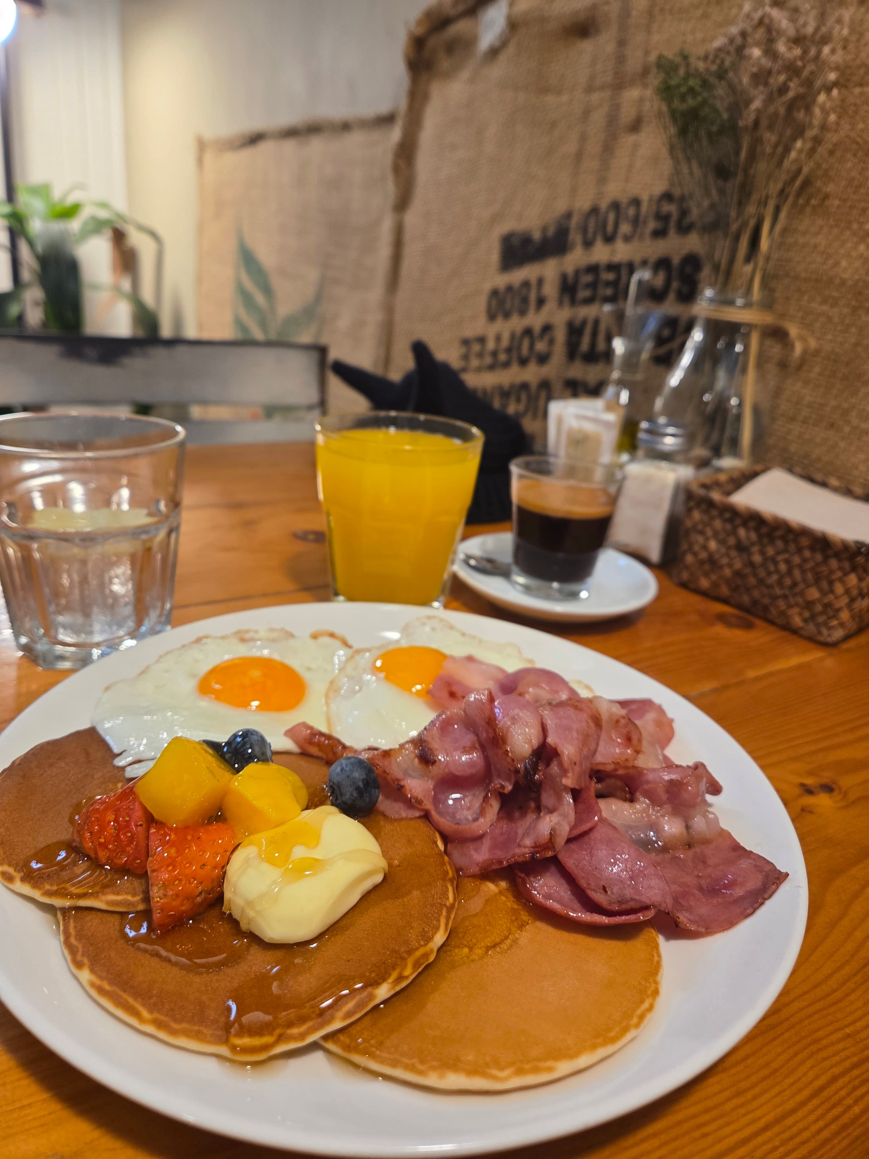 Trencat 3 en Valencia, Valencia, España - Restaurantes pet friendly