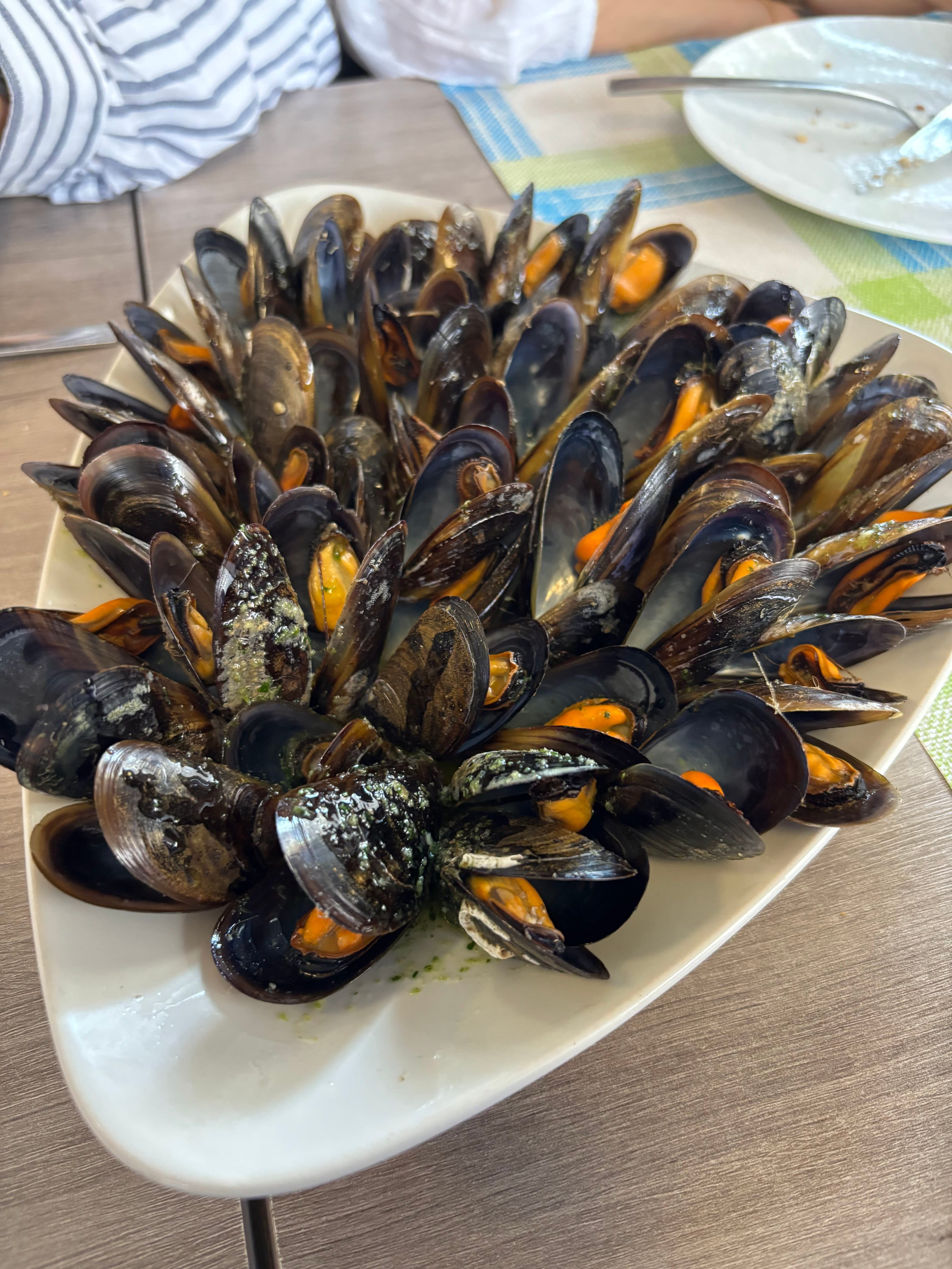 La Salseta 3 en Reus, Cataluña, España - Restaurantes pet friendly