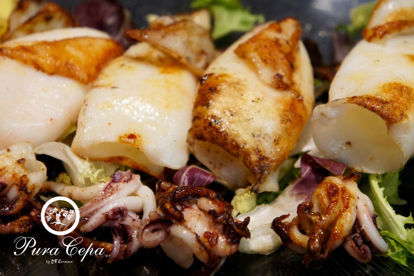 Pura Cepa 3 en Murcia, Murcia, España - Restaurantes pet friendly