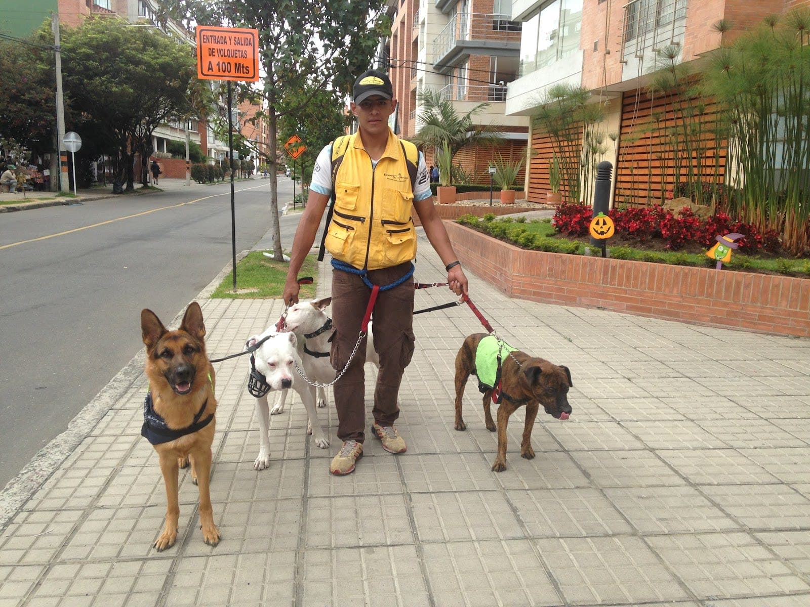 Doggy Walker Bogota - Imagen 1