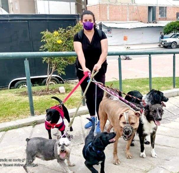 walking dogs Bogota 2 en Colombia - Paseadores de perros