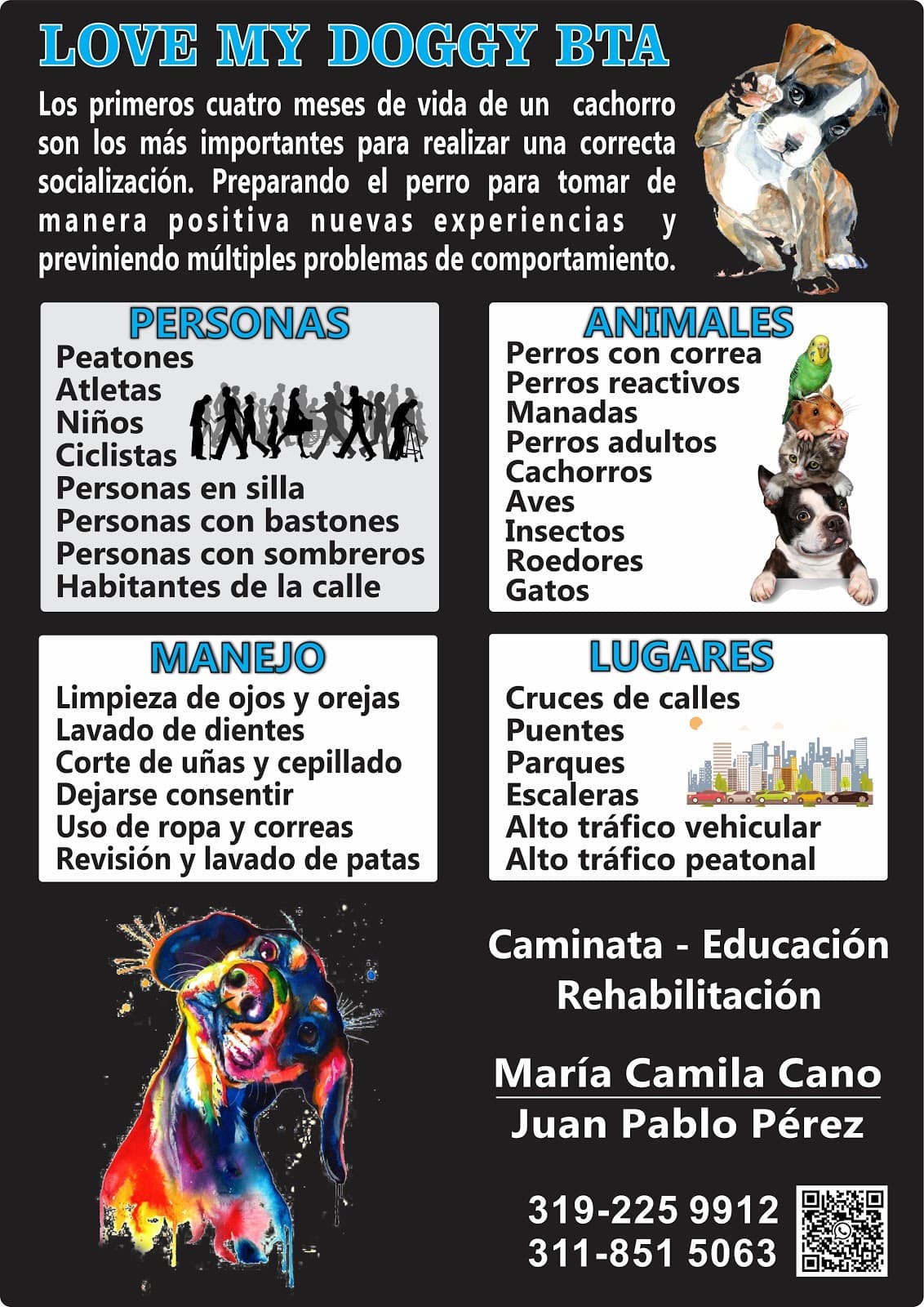 Paseador de Perros - Love My Doggy 2 en Colombia - Paseadores de perros