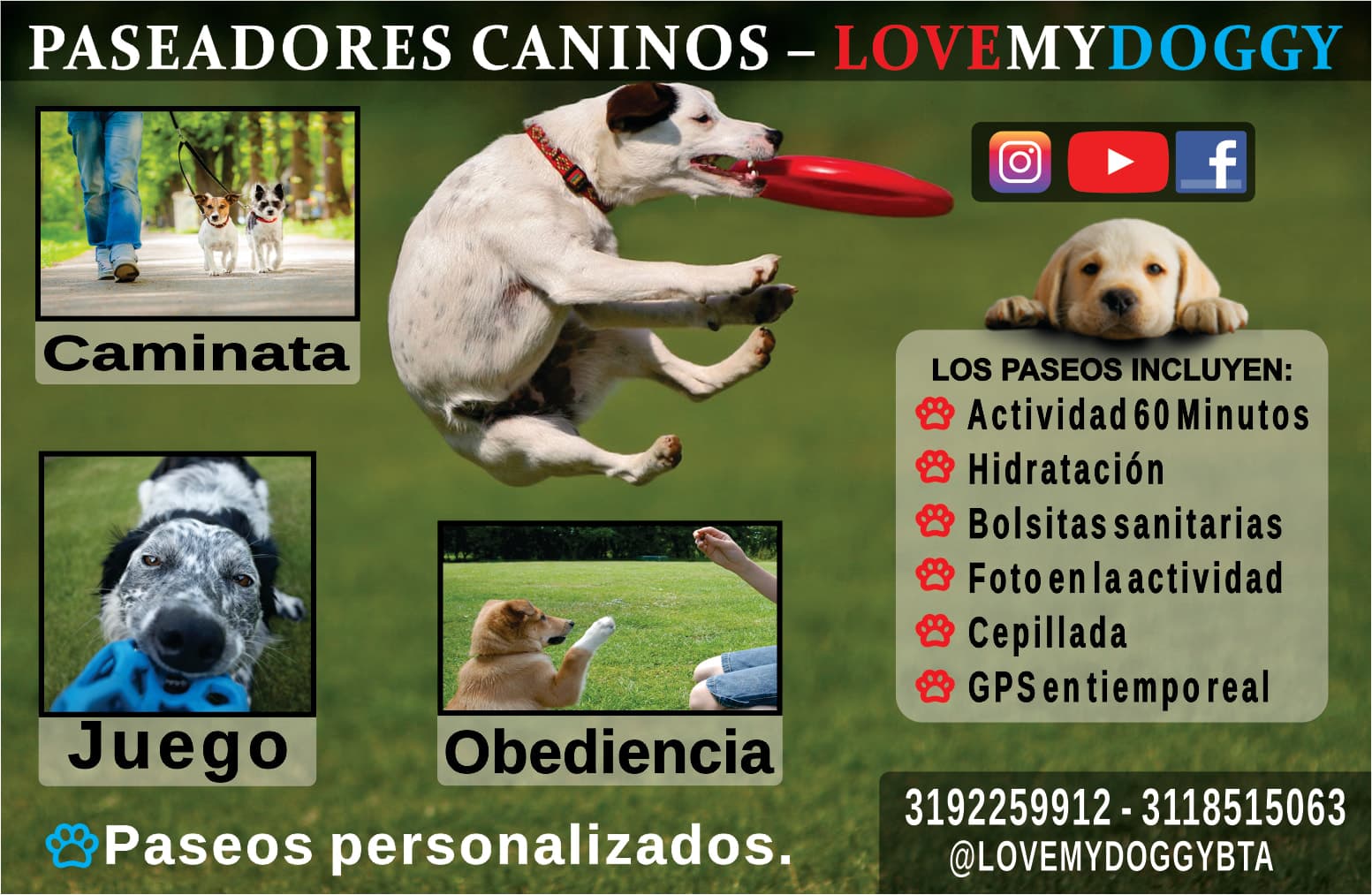 Paseador de Perros - Love My Doggy en Colombia - Paseadores de perros