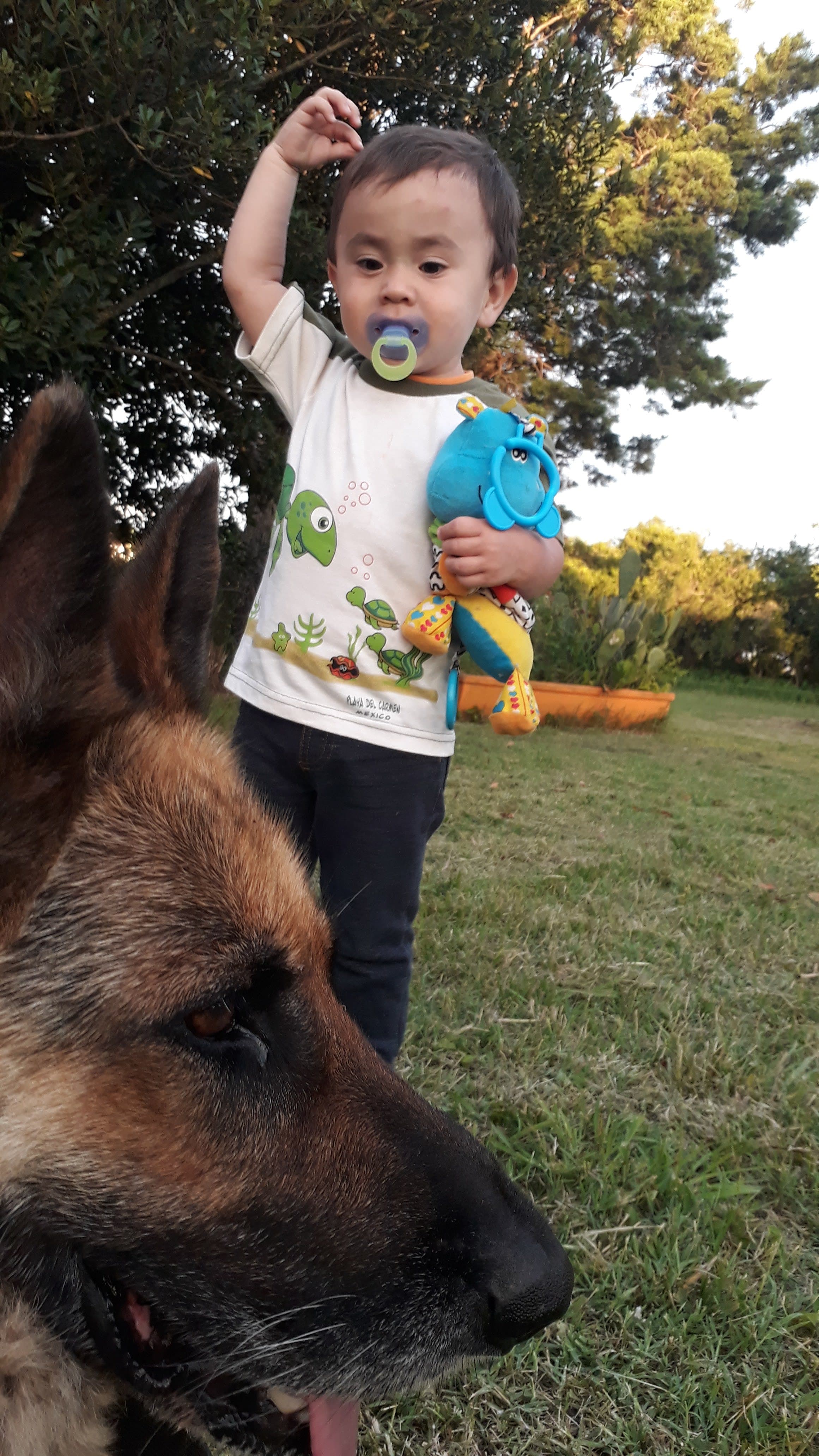 La Posada Hotel Canino en Villa María, Córdoba, Argentina - Hoteles y guarderías para perros