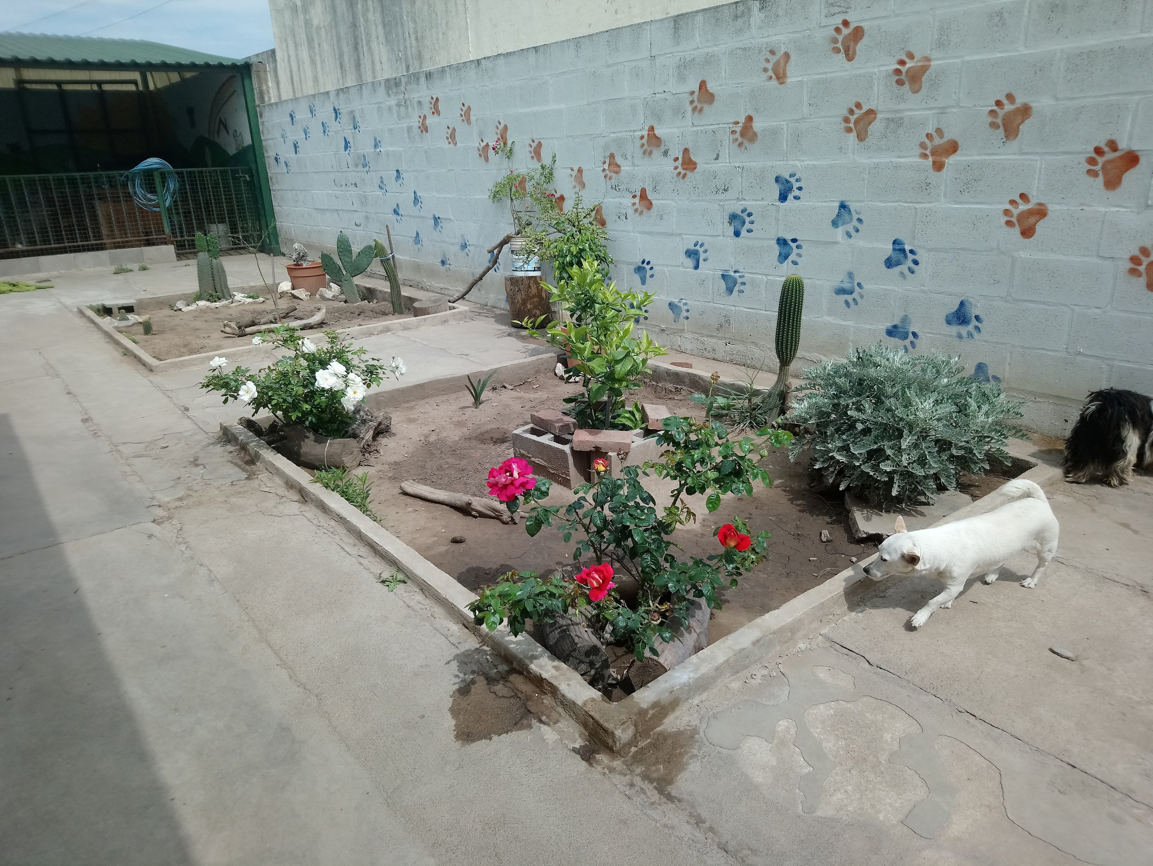 Guardería casita patapata - Imagen 1